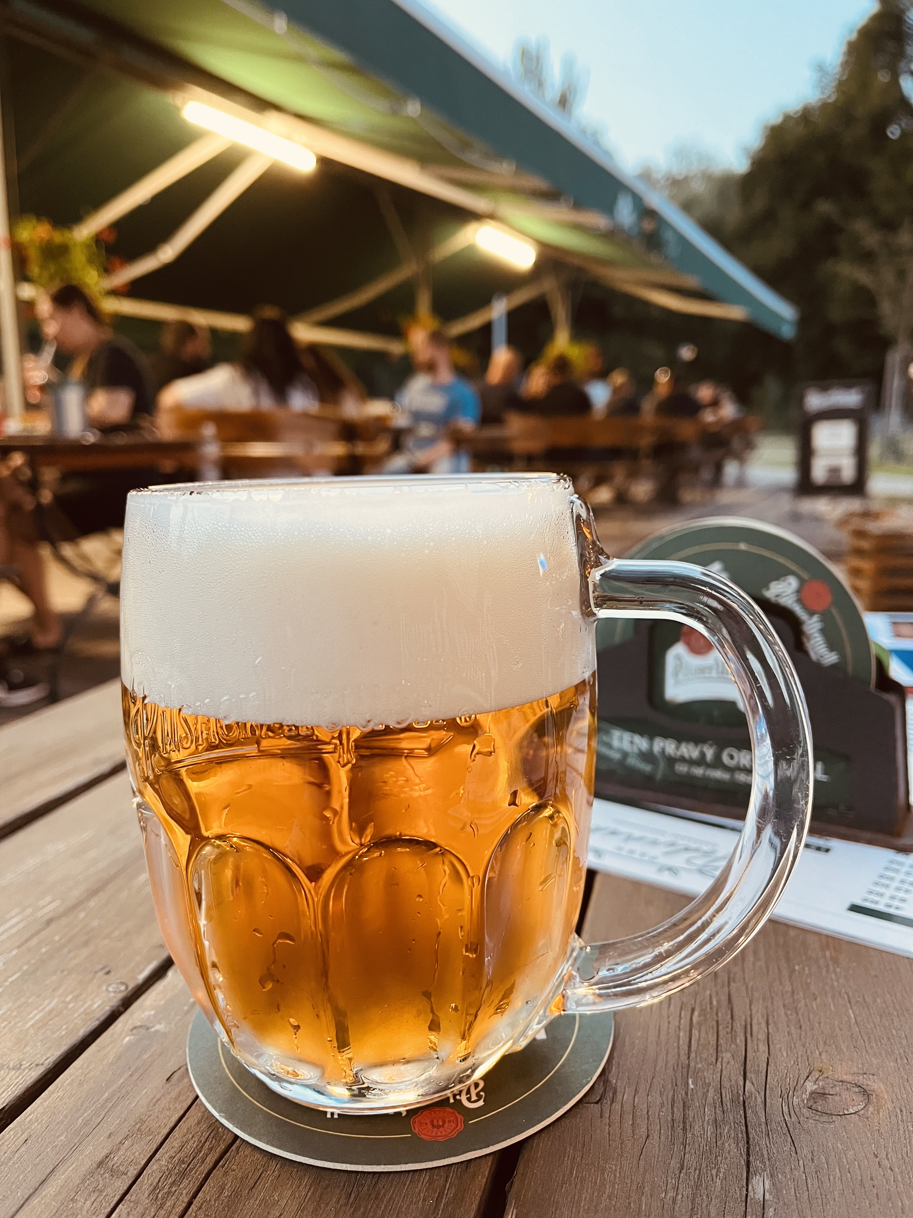 Restaurace Podviňák foto 5