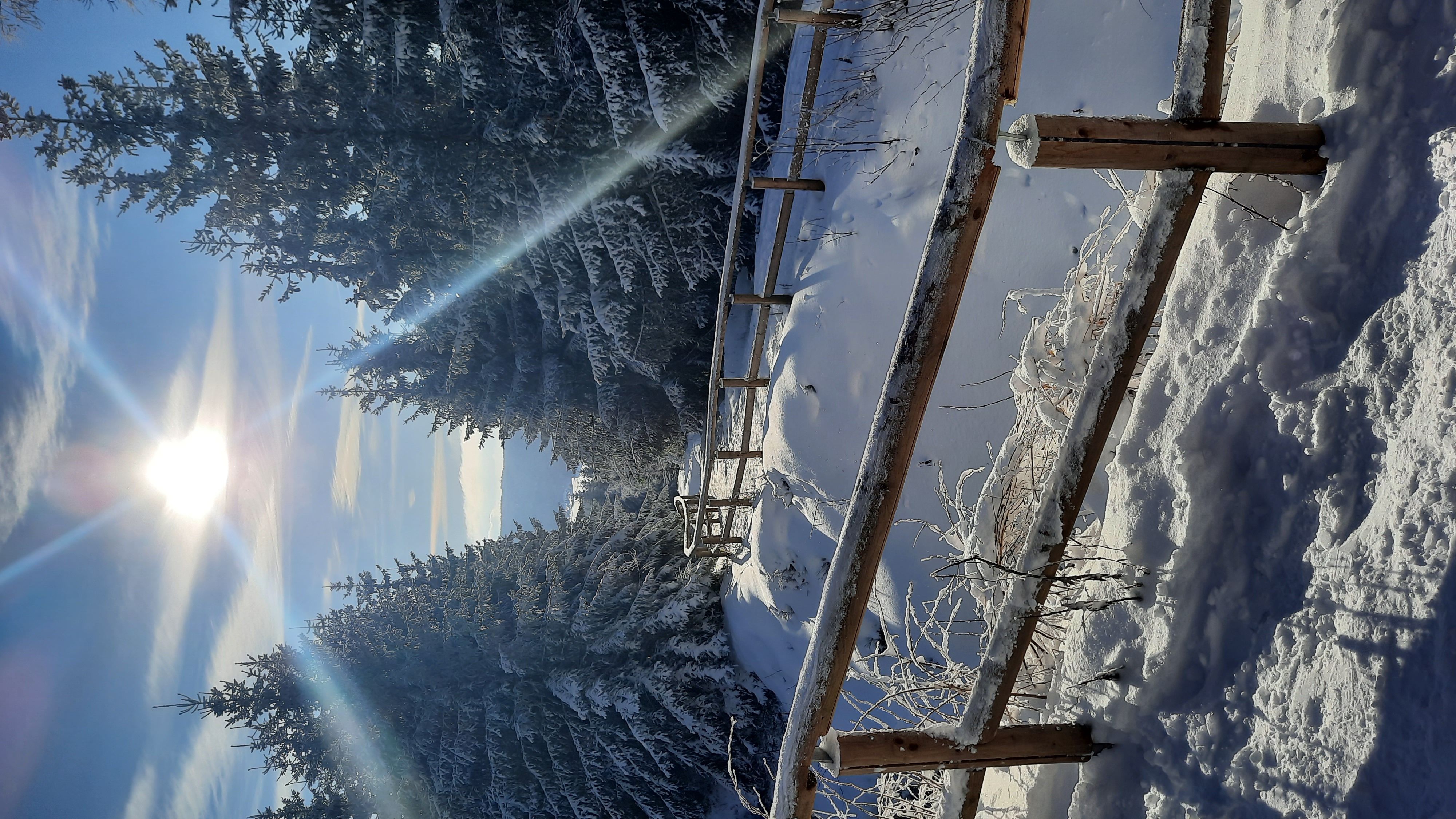 Pension H. Blatná foto 2