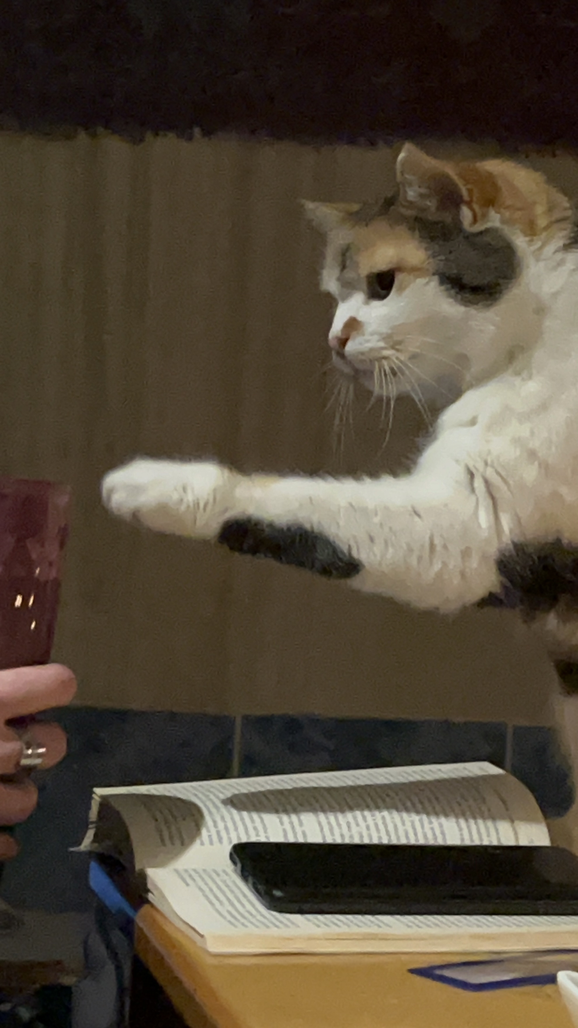 Čajovna U Kamenný želvy foto 5