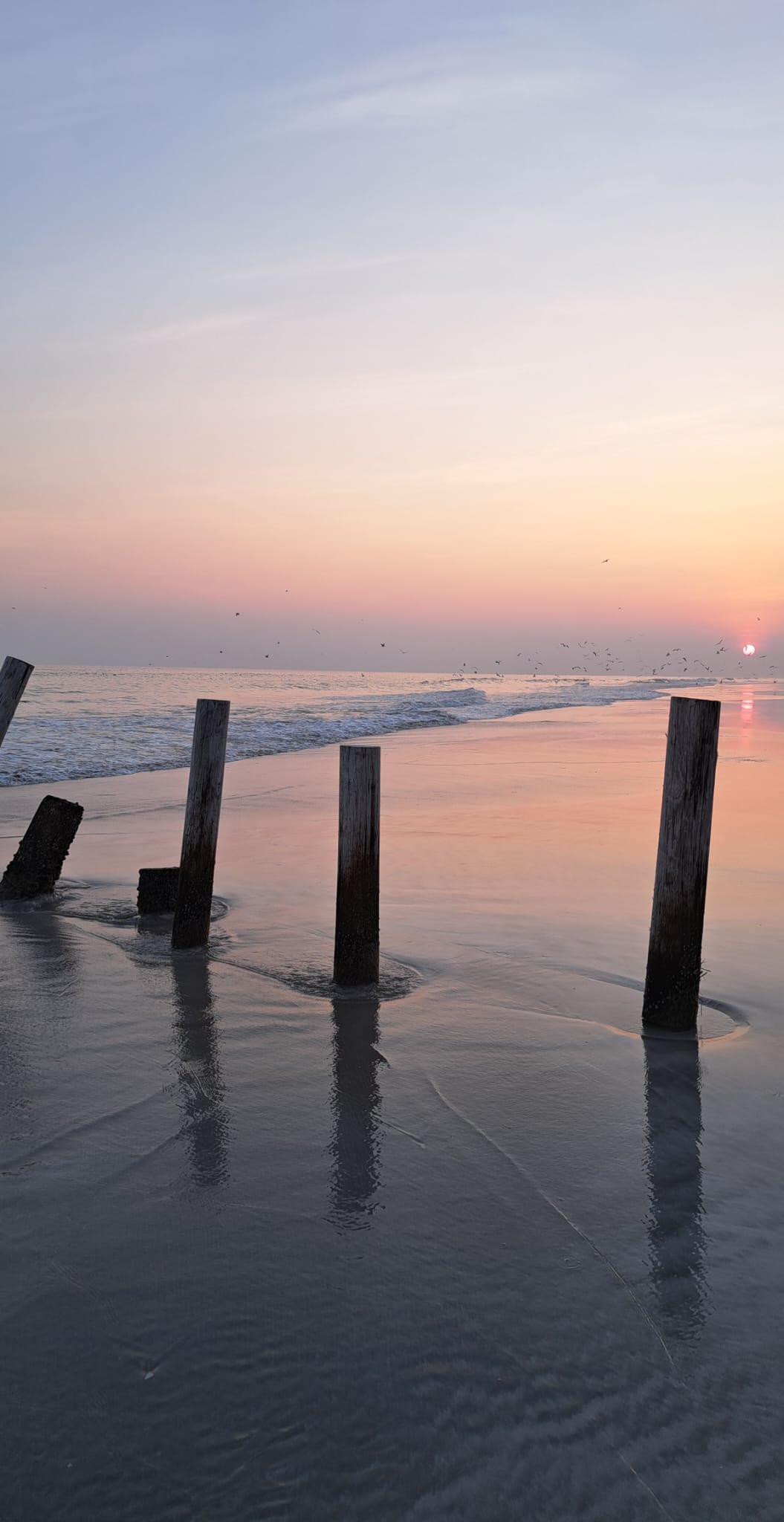 Cestovní agentura Věra Ježová foto 5