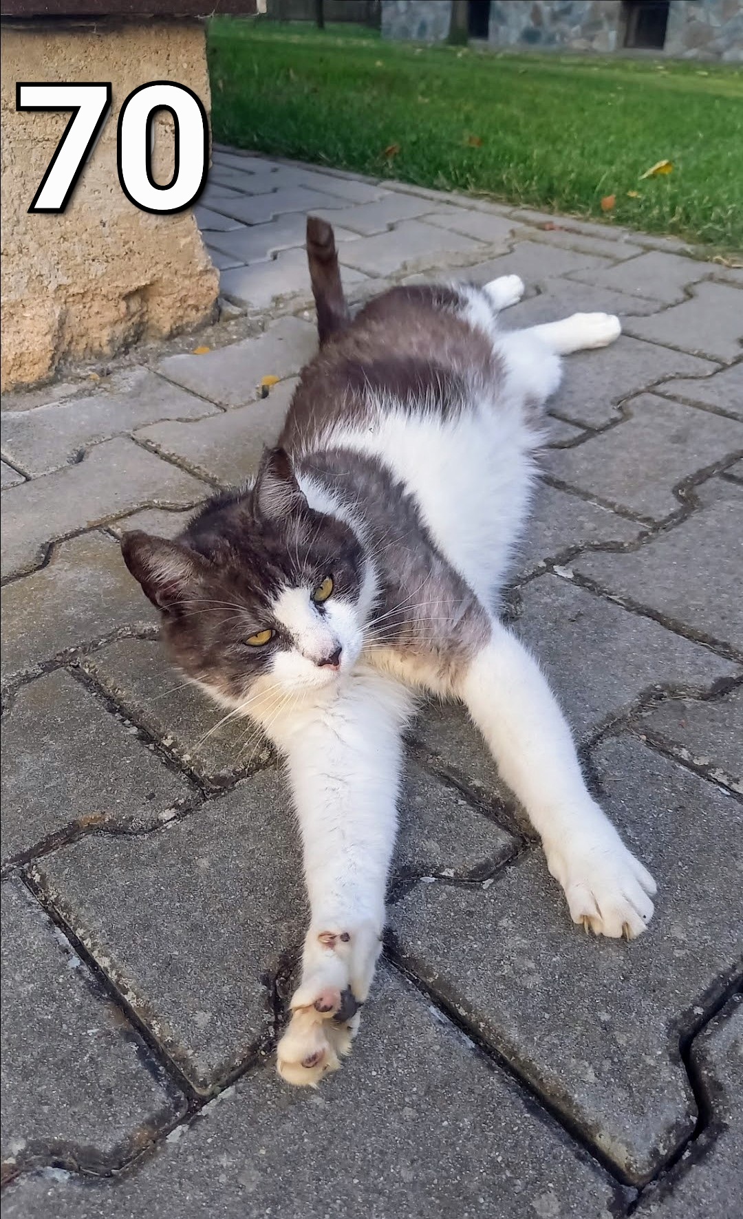 Online-fotografie.cz foto 2