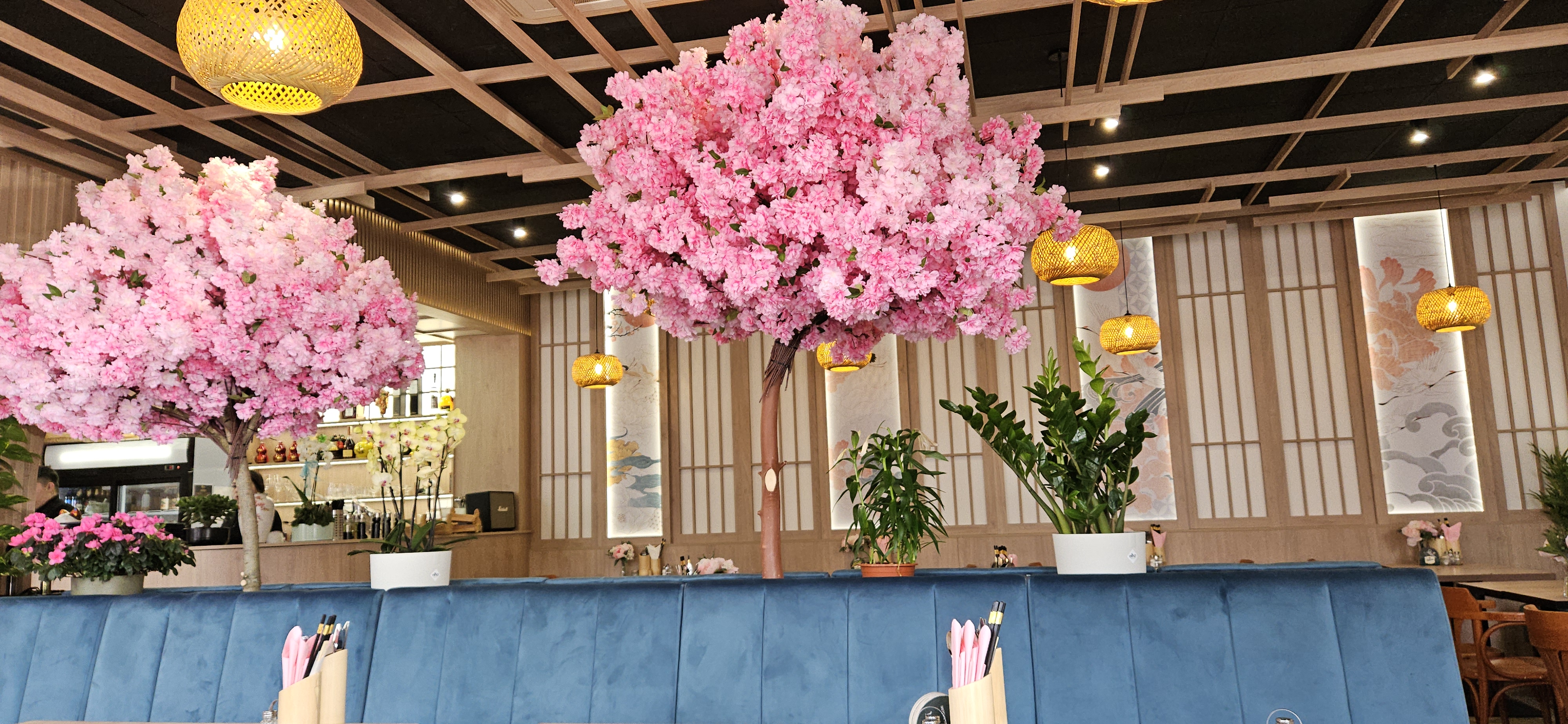 Nagachin Restaurant foto 5