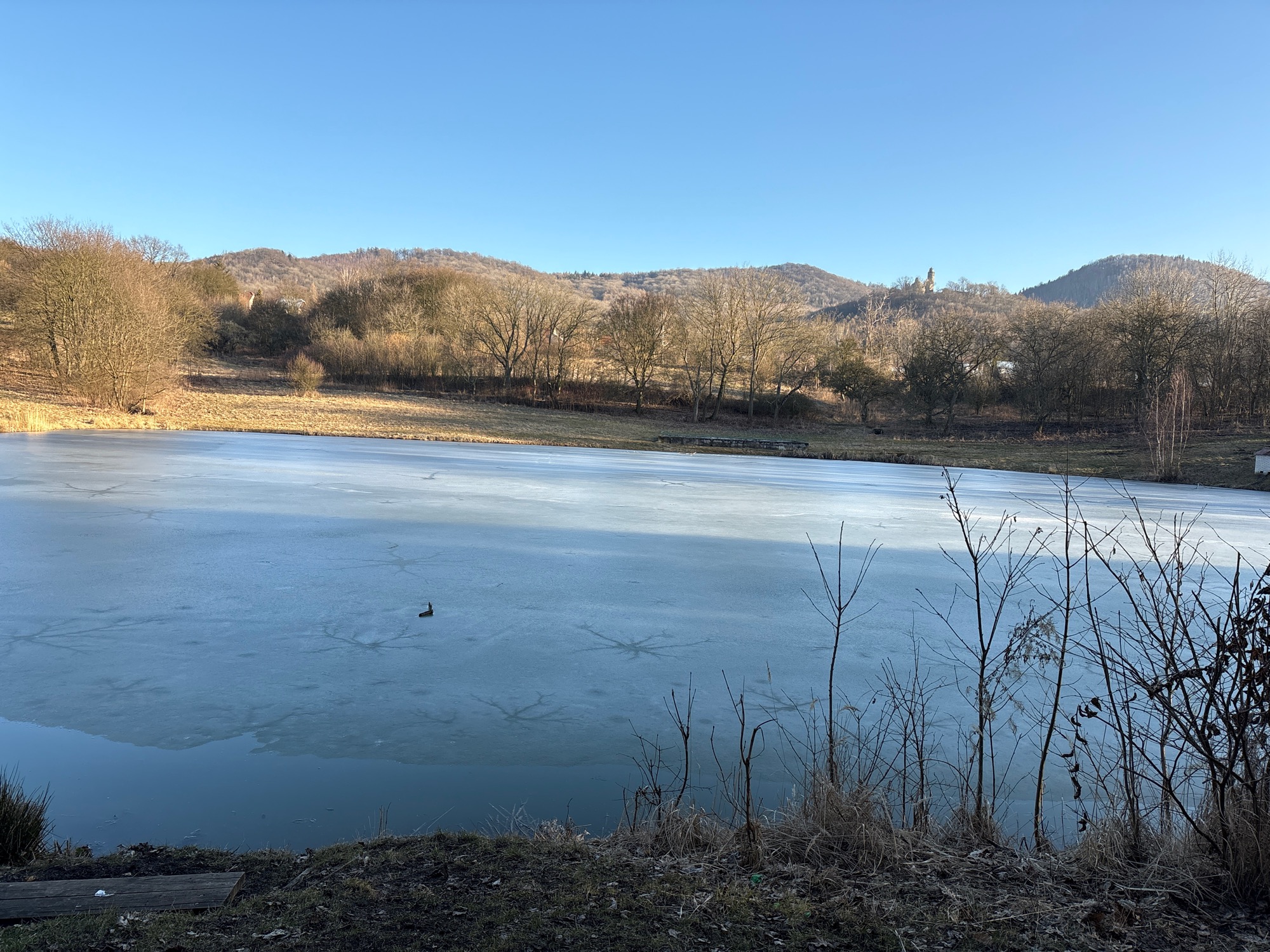 ZŠ Kostomlaty pod Milešovkou foto 4