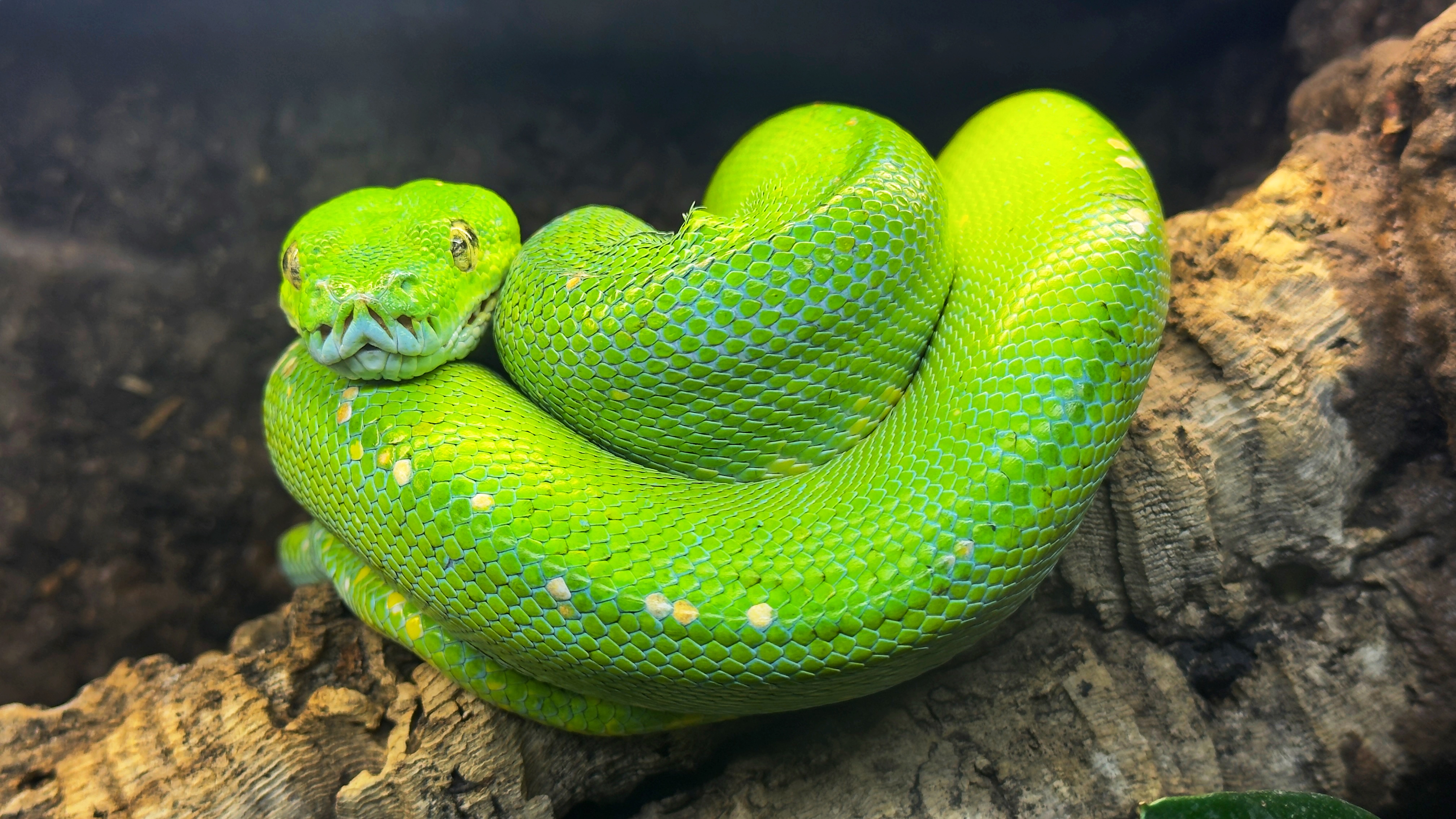 ZOOPARK STĚŽERY foto 6