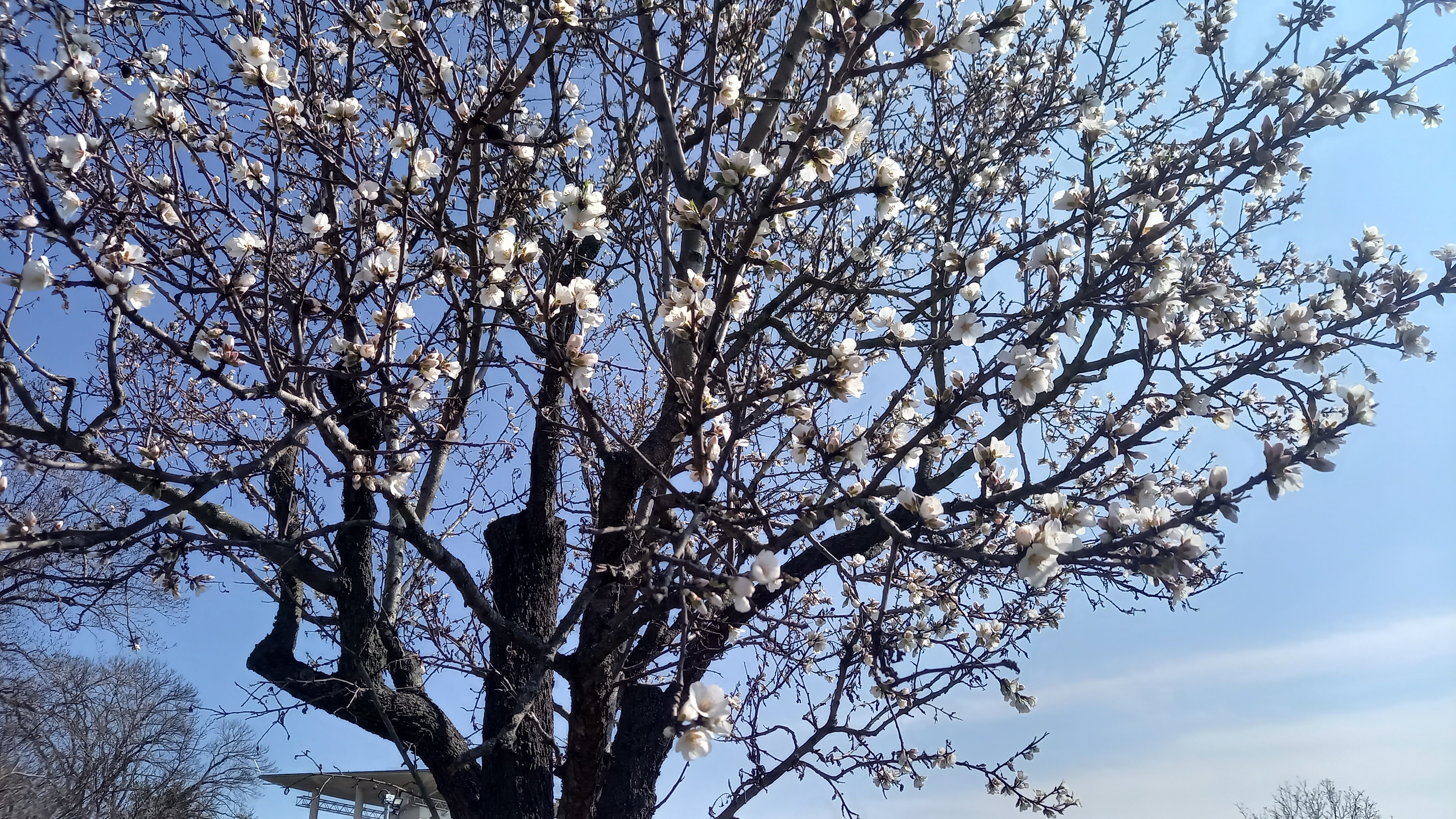 Penzion Klimeš foto 5
