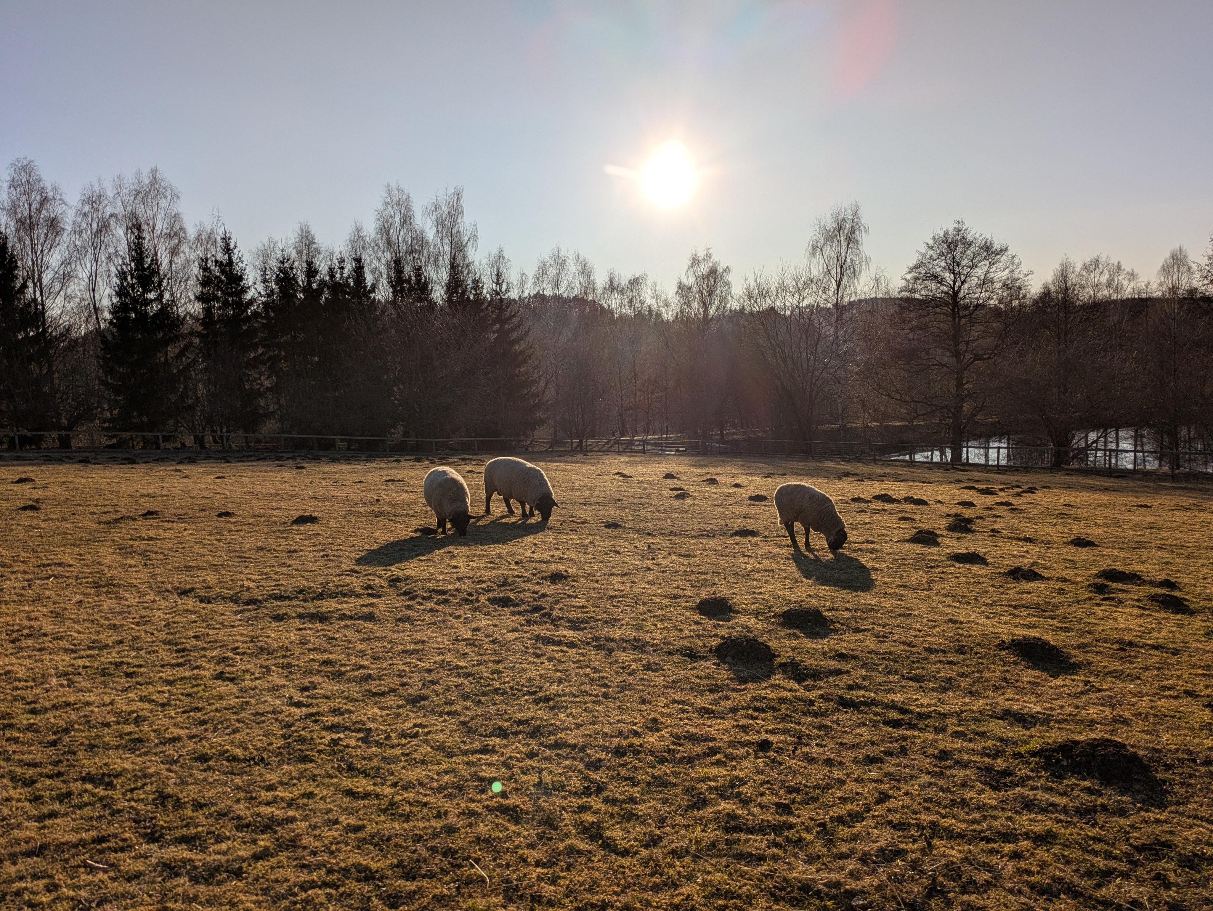 Kavárna Hotelu Farma foto 6