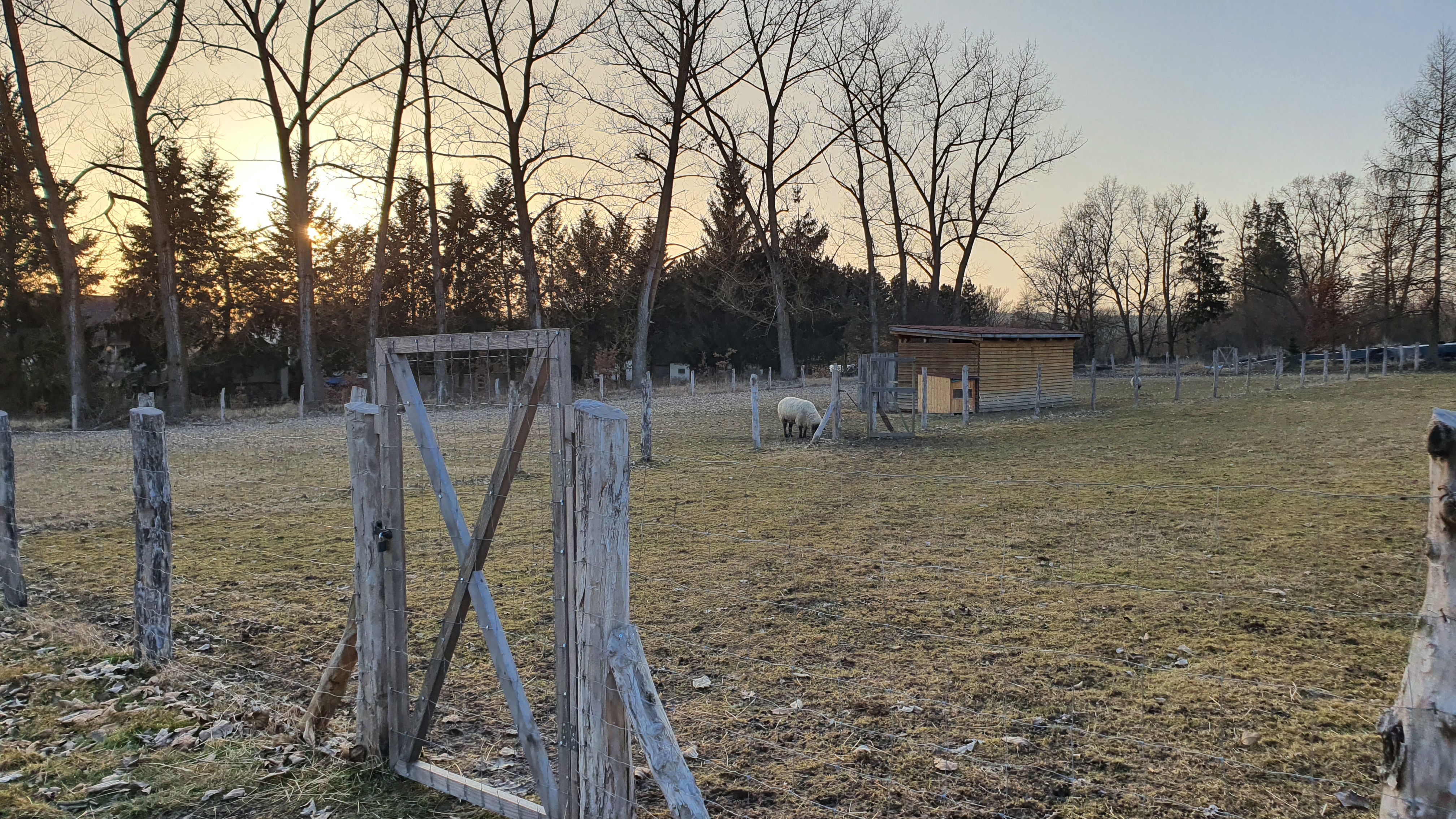 Glamping Panský dvůr Telč foto 5