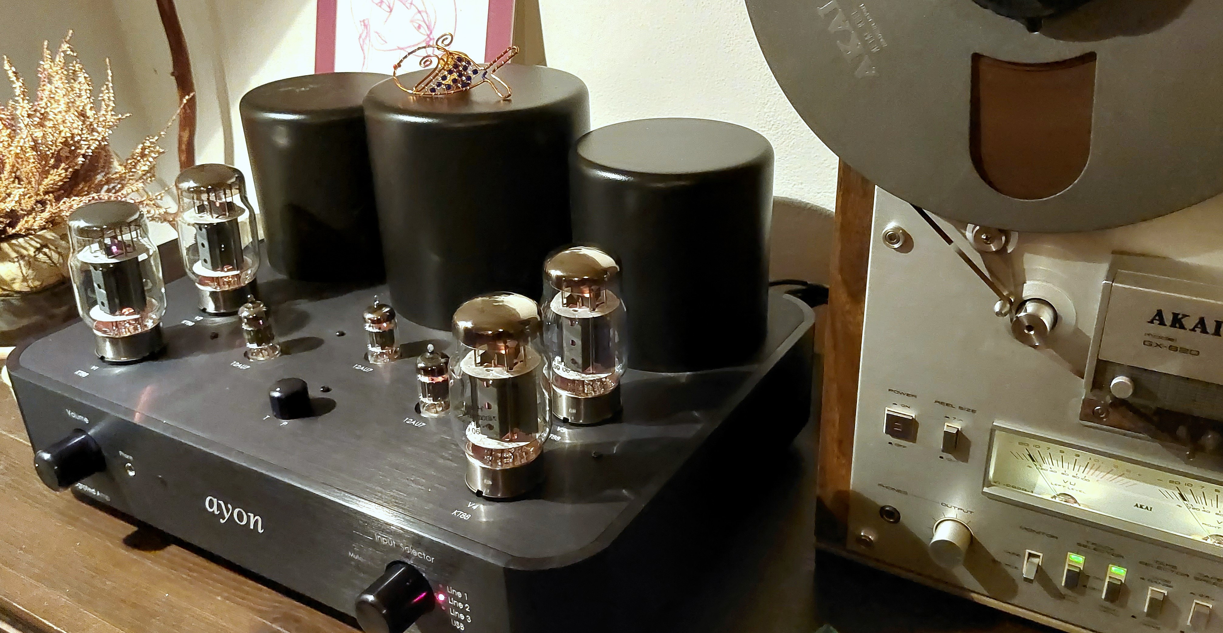 Petr Vlasák - pevlas amplifiers foto 2