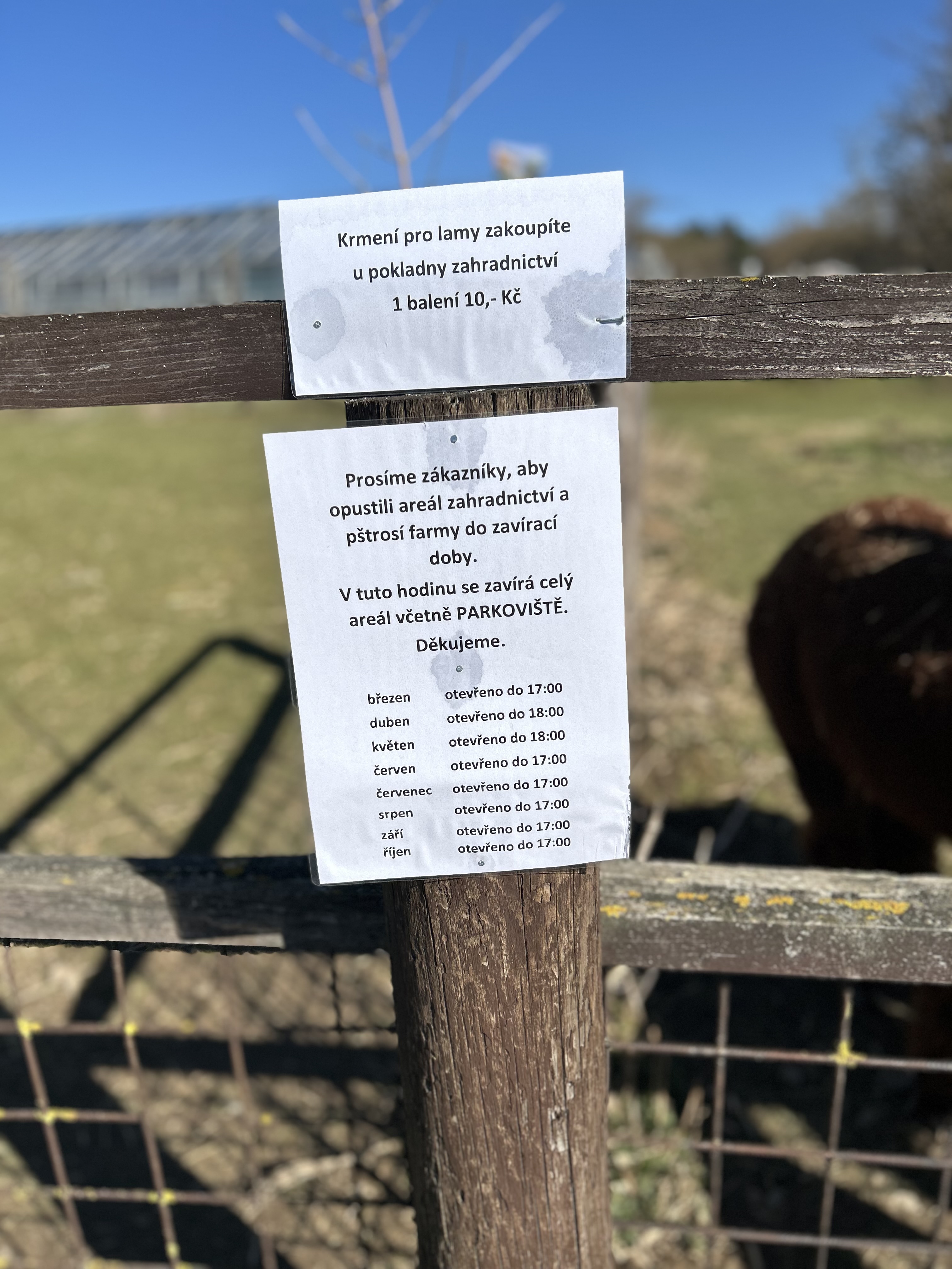 PŠTROSÍ FARMA Doubravice foto 3