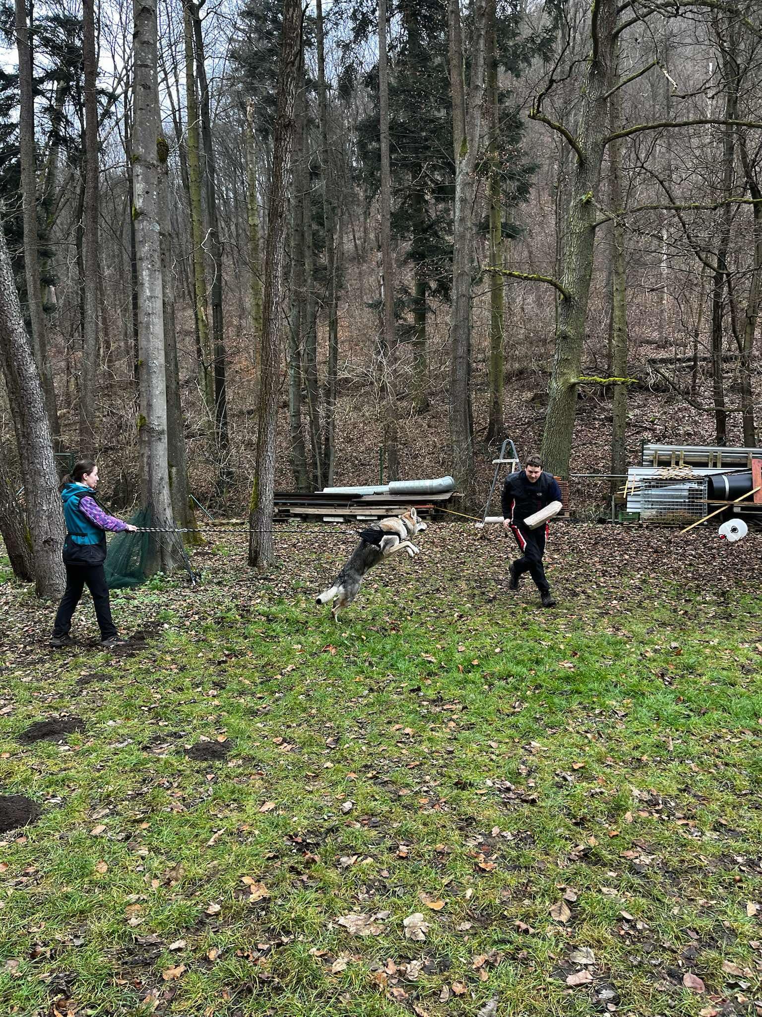 V.R.K. Adamov škola a hotel pro psy foto 4