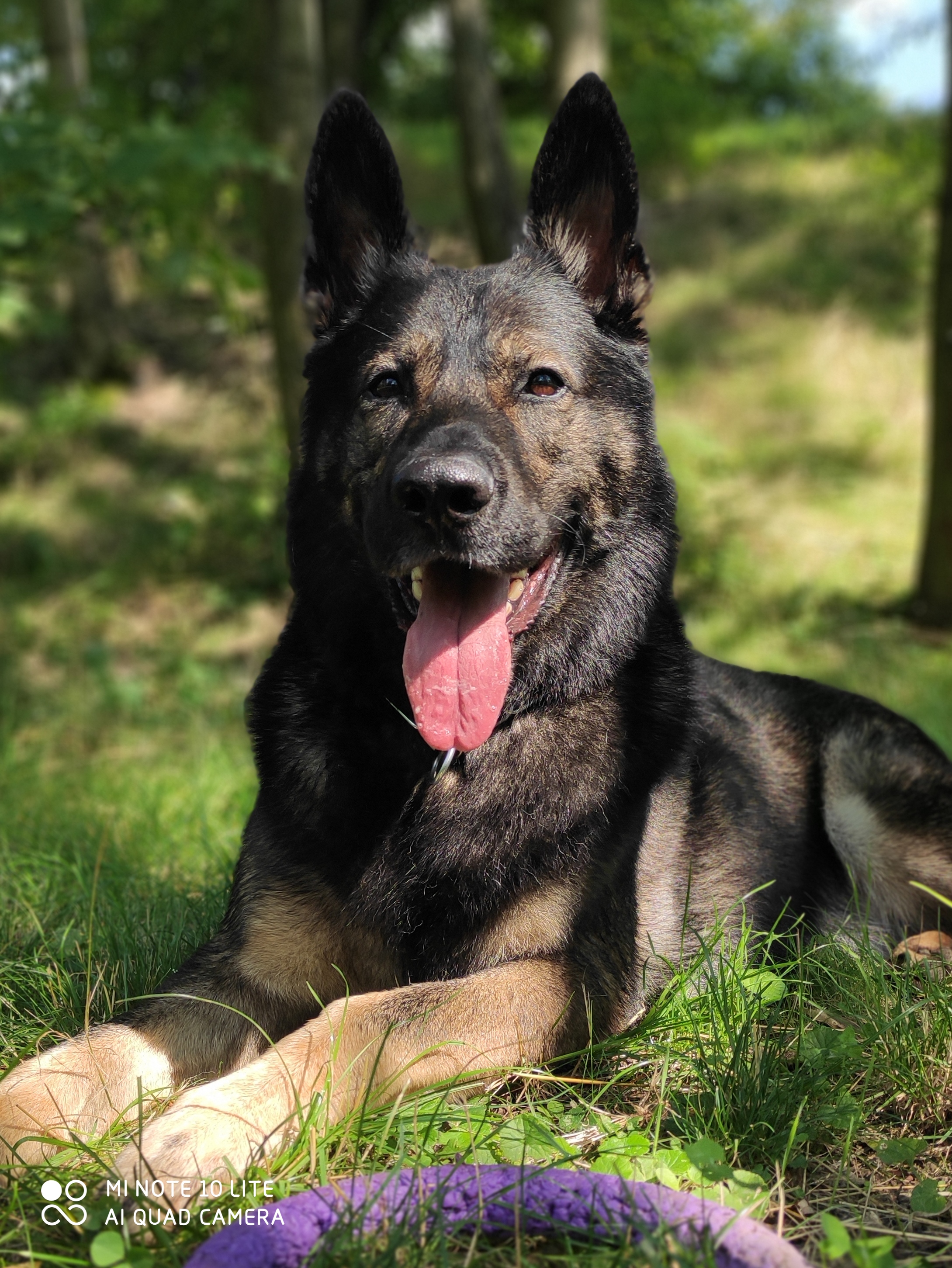 Veterina Braník foto 2