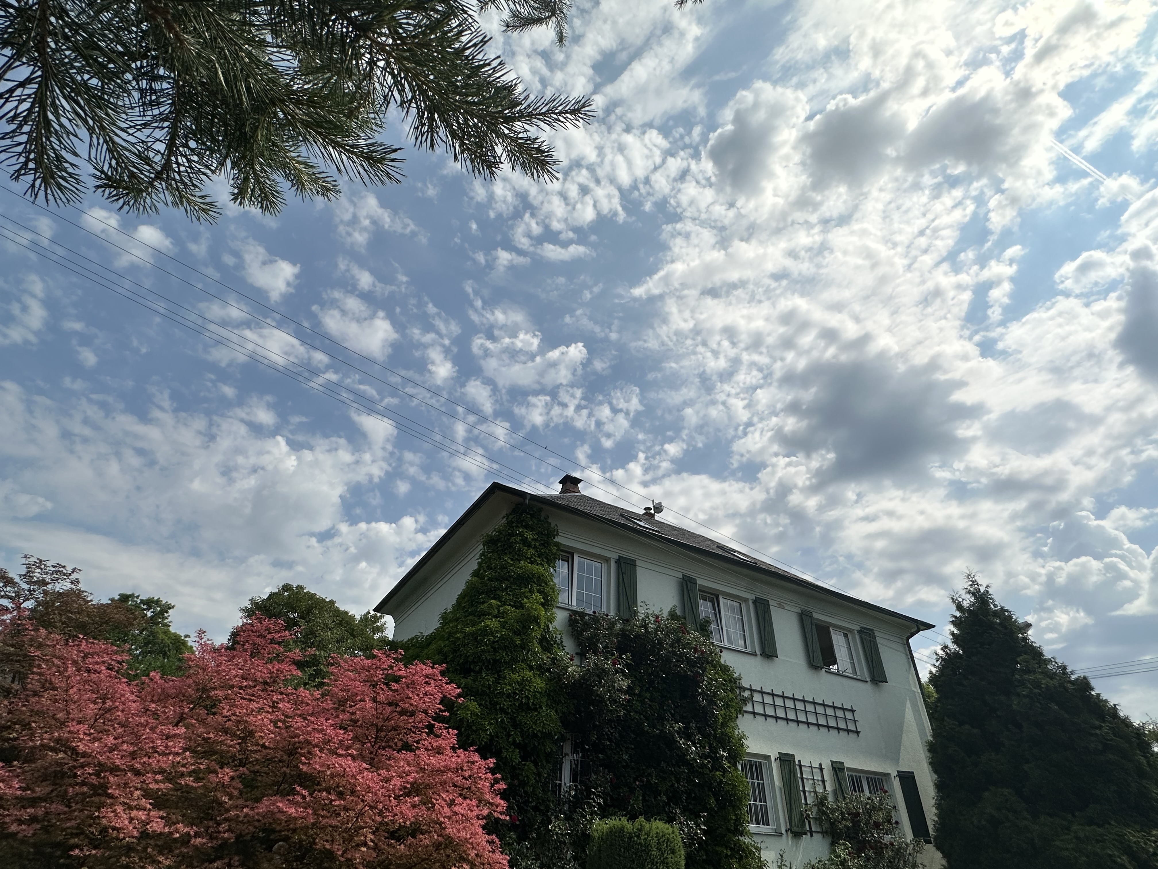 Apartmán Dobrá Voda foto 1