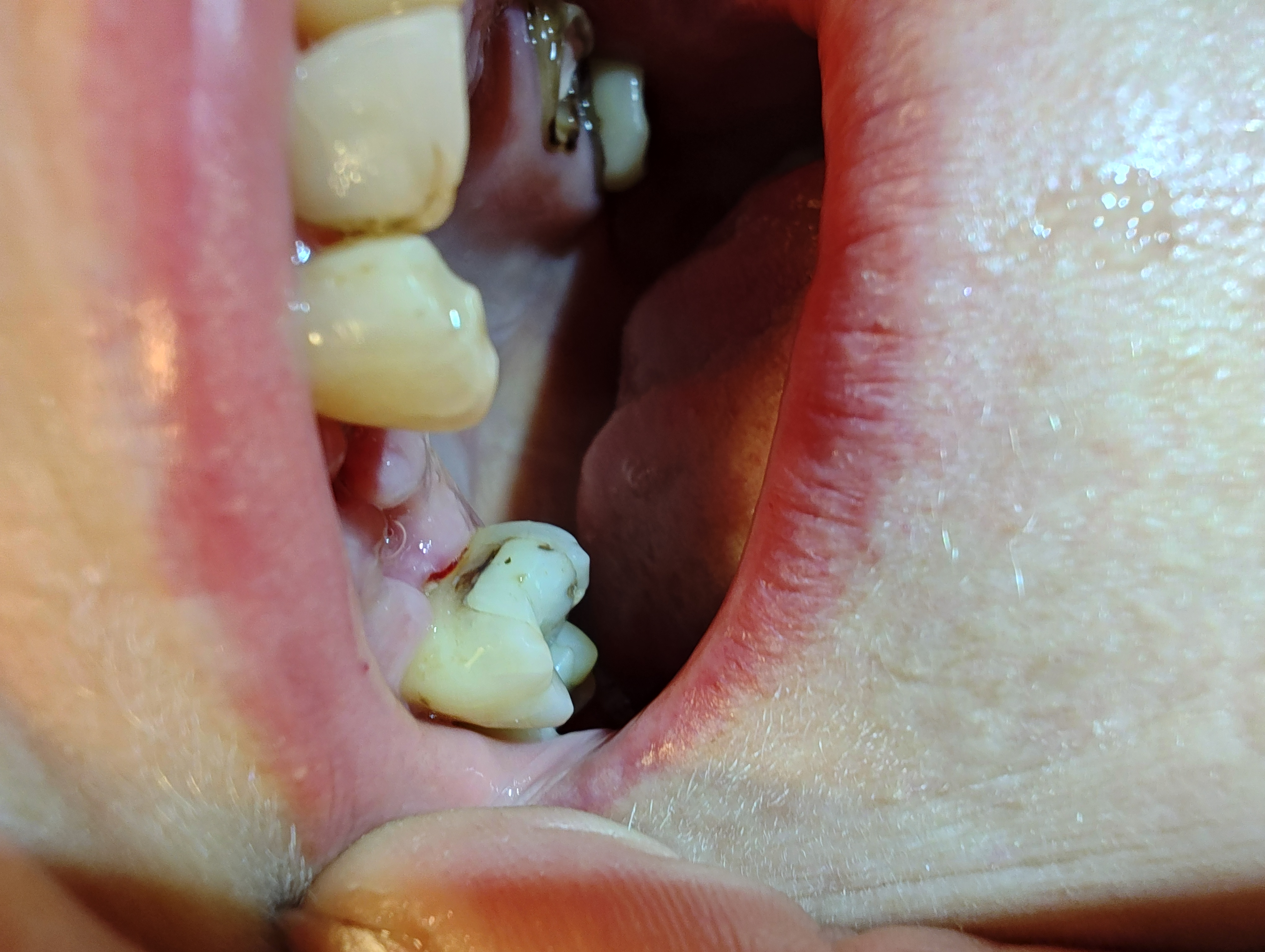 Dental center Český Ráj - Mudr. David Pokorný foto 2