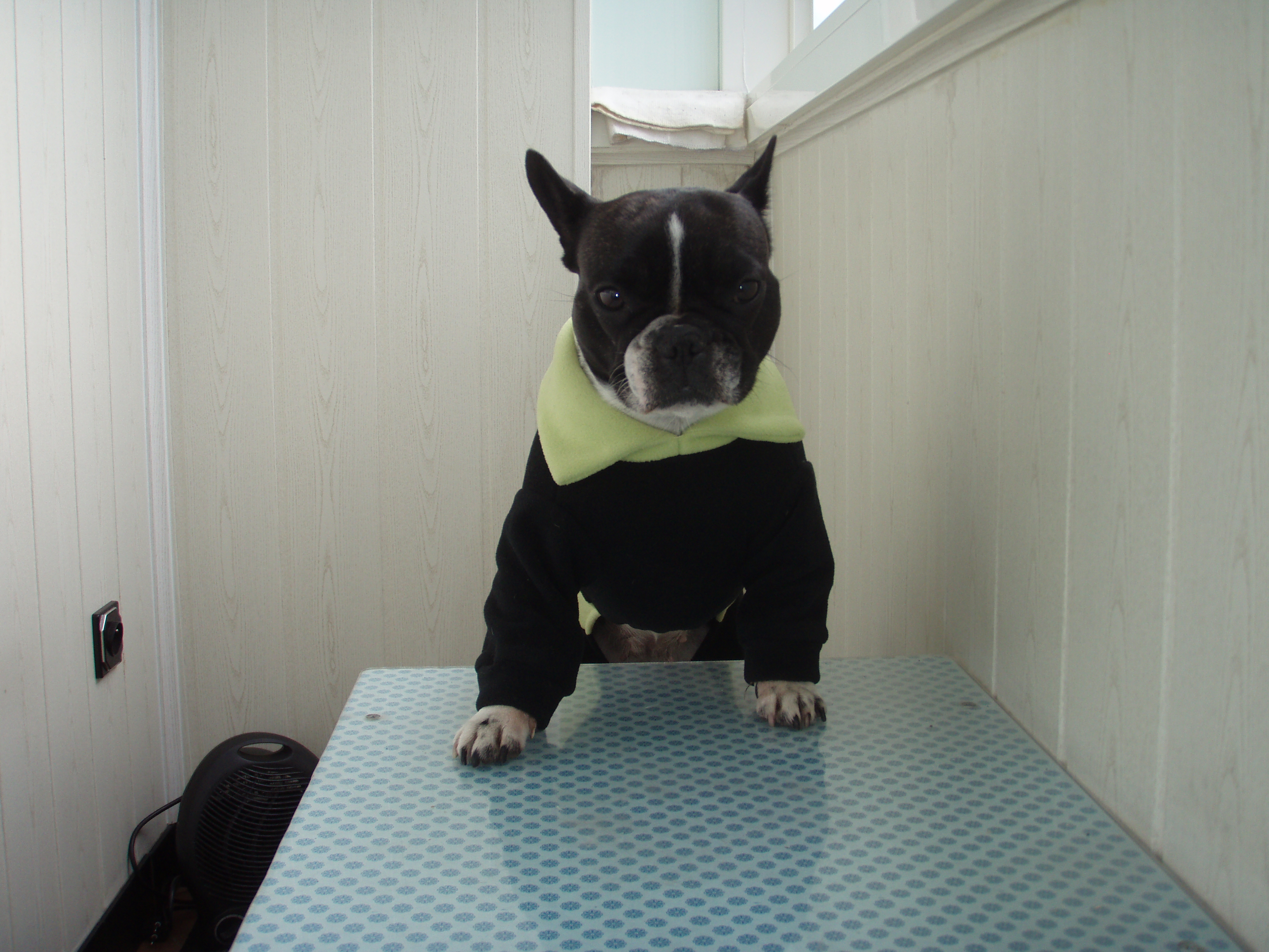 GrandVet - MVDr. Kateřina Praxová foto 2