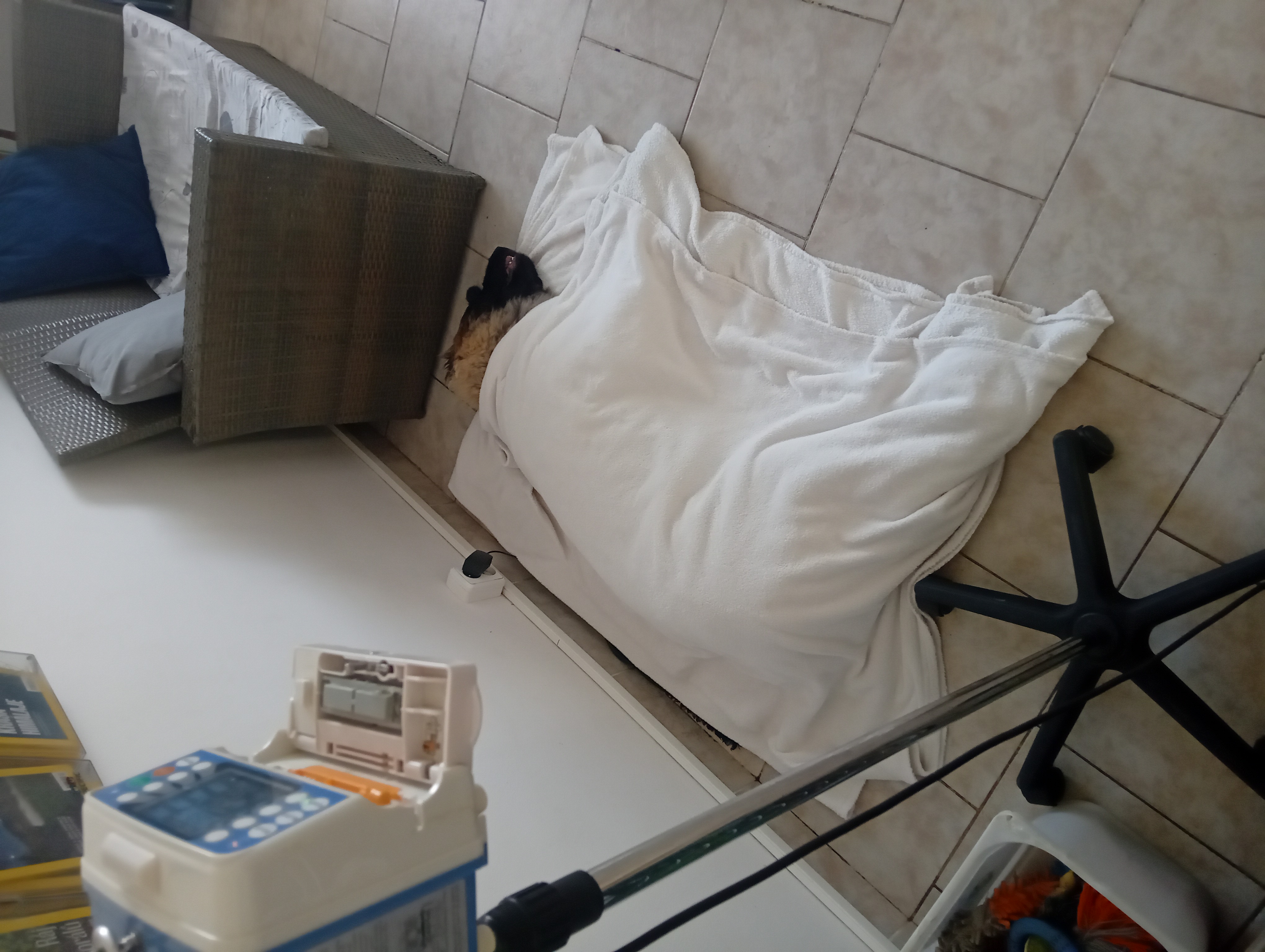 Veterina VeMaP foto 6