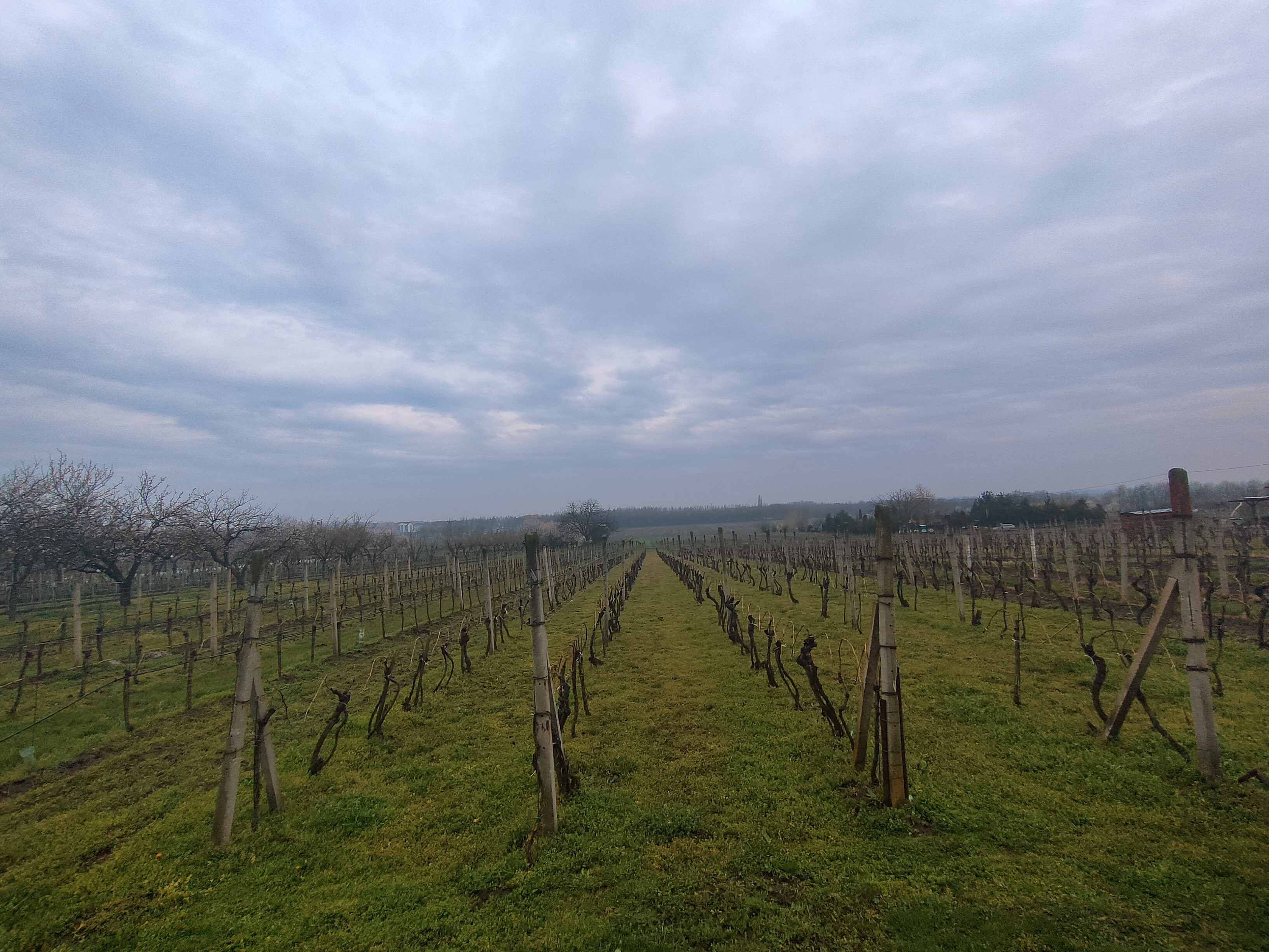 Ubytování Šmídovi foto 4