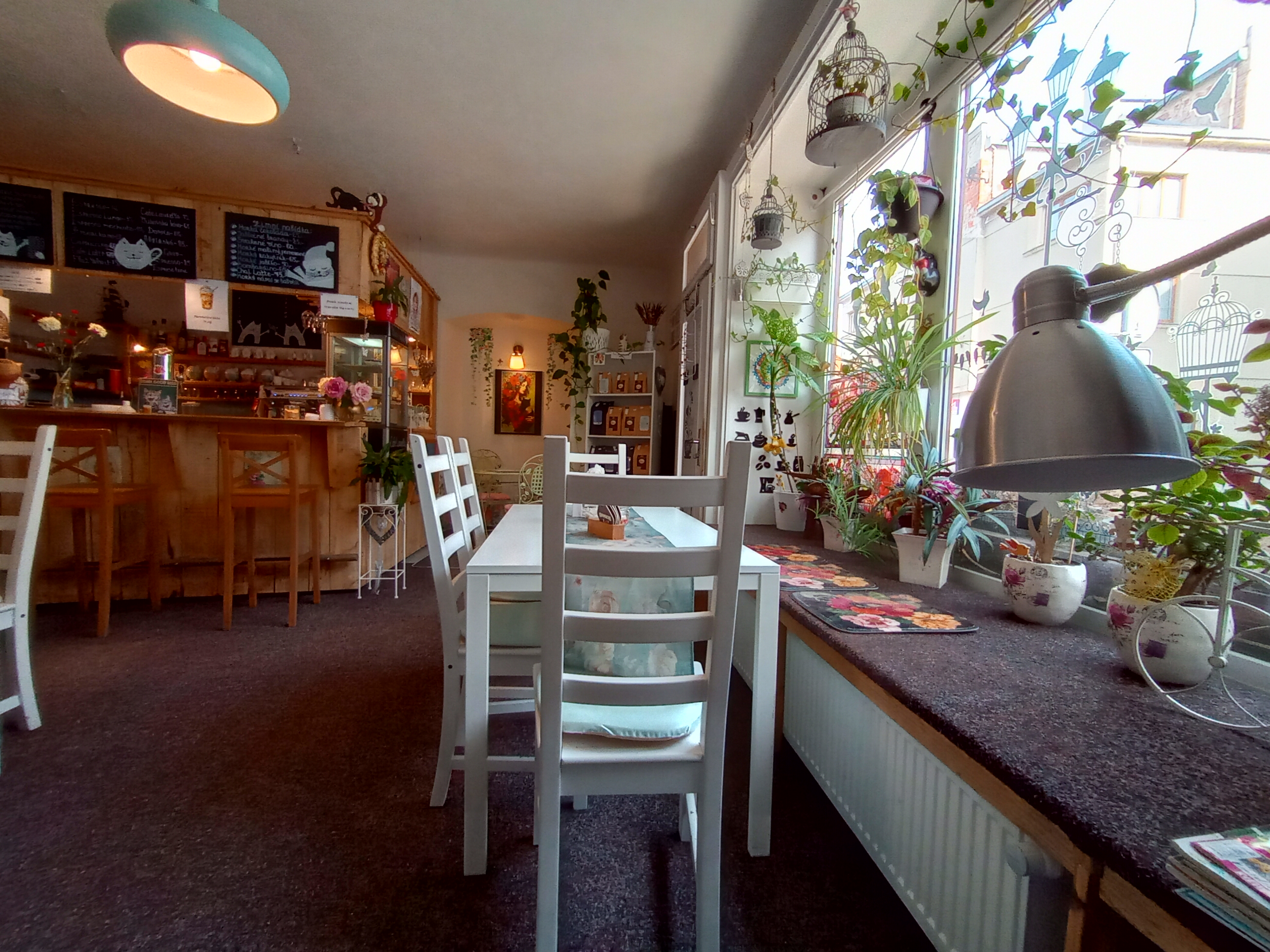 Café Laurella foto 2