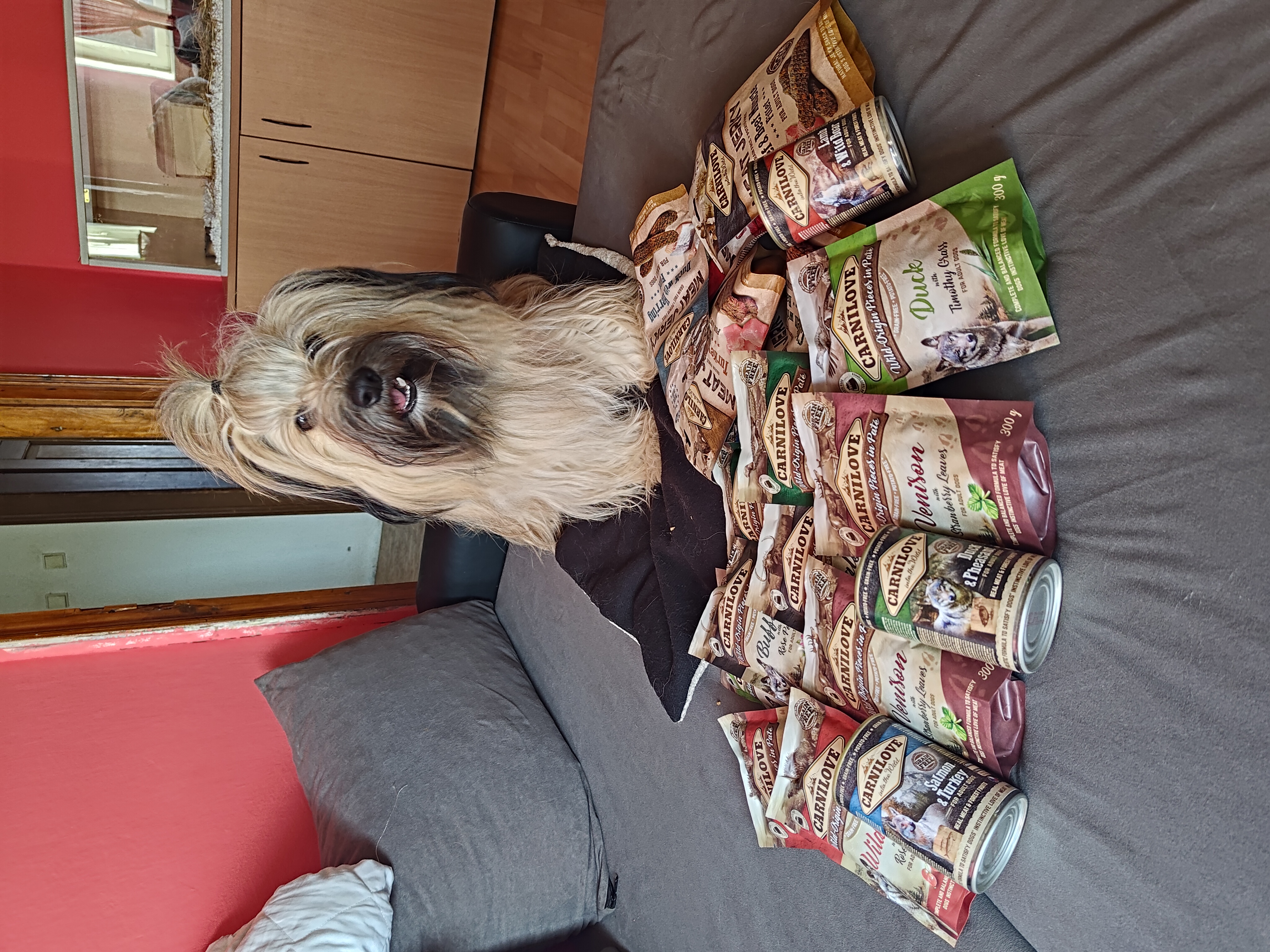 Městský útulek pro toulavá a opuštěná zvířata Děčín foto 6