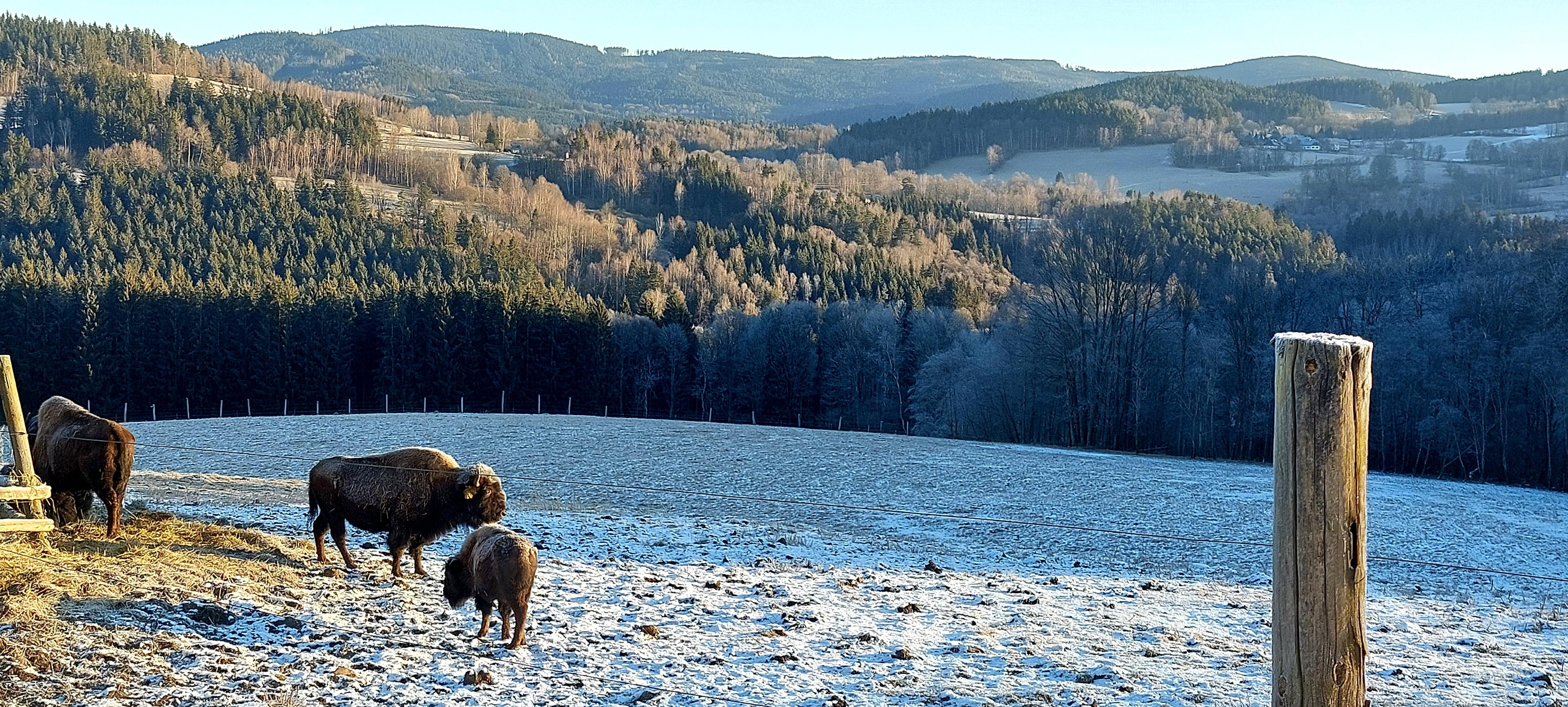 Rezidence Vogelsang foto 6