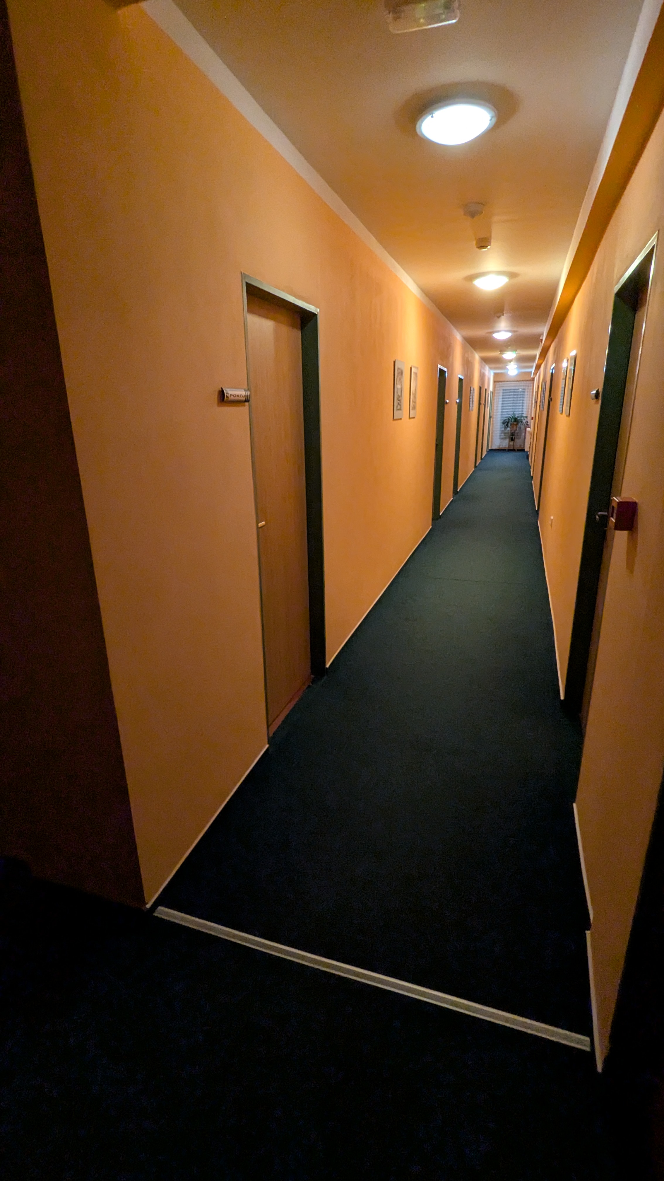 Ubytovna Na Lesní foto 3