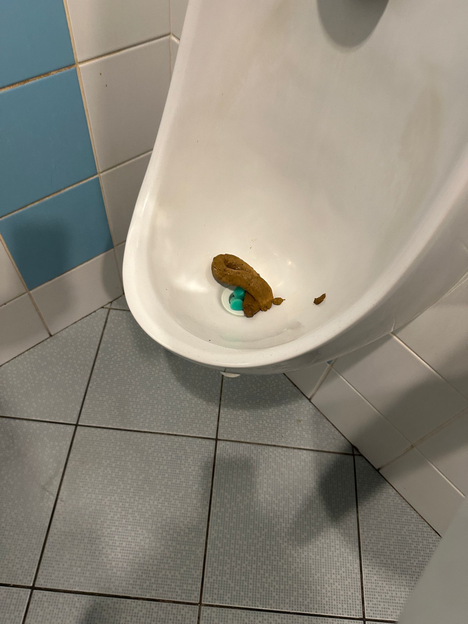 ZŠ Praha 3, Jeseniova foto 4