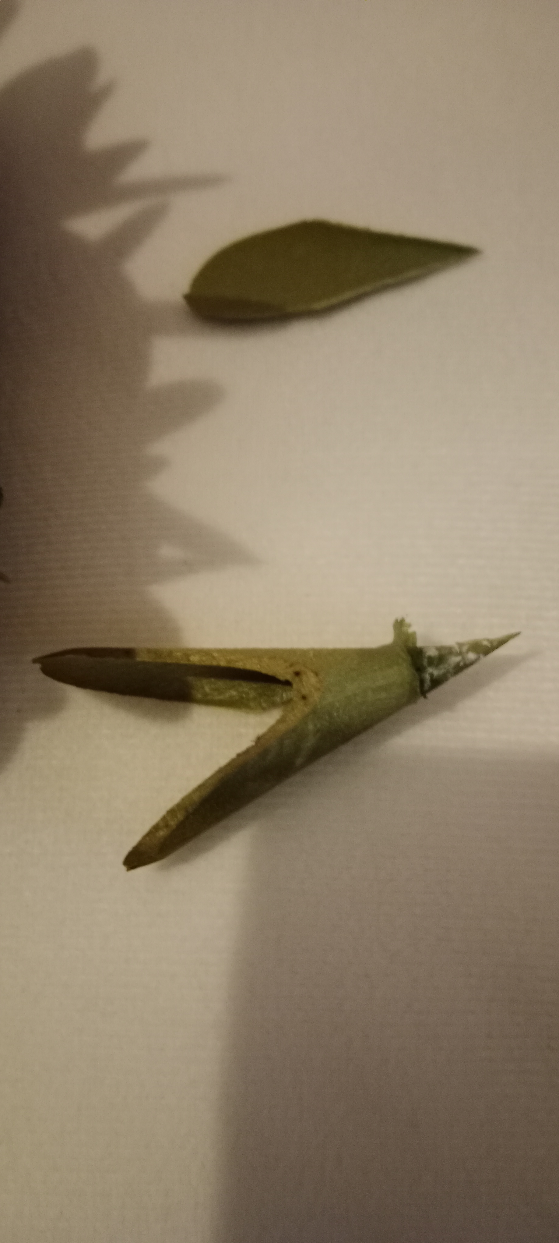 Mybesthome.cz foto 6