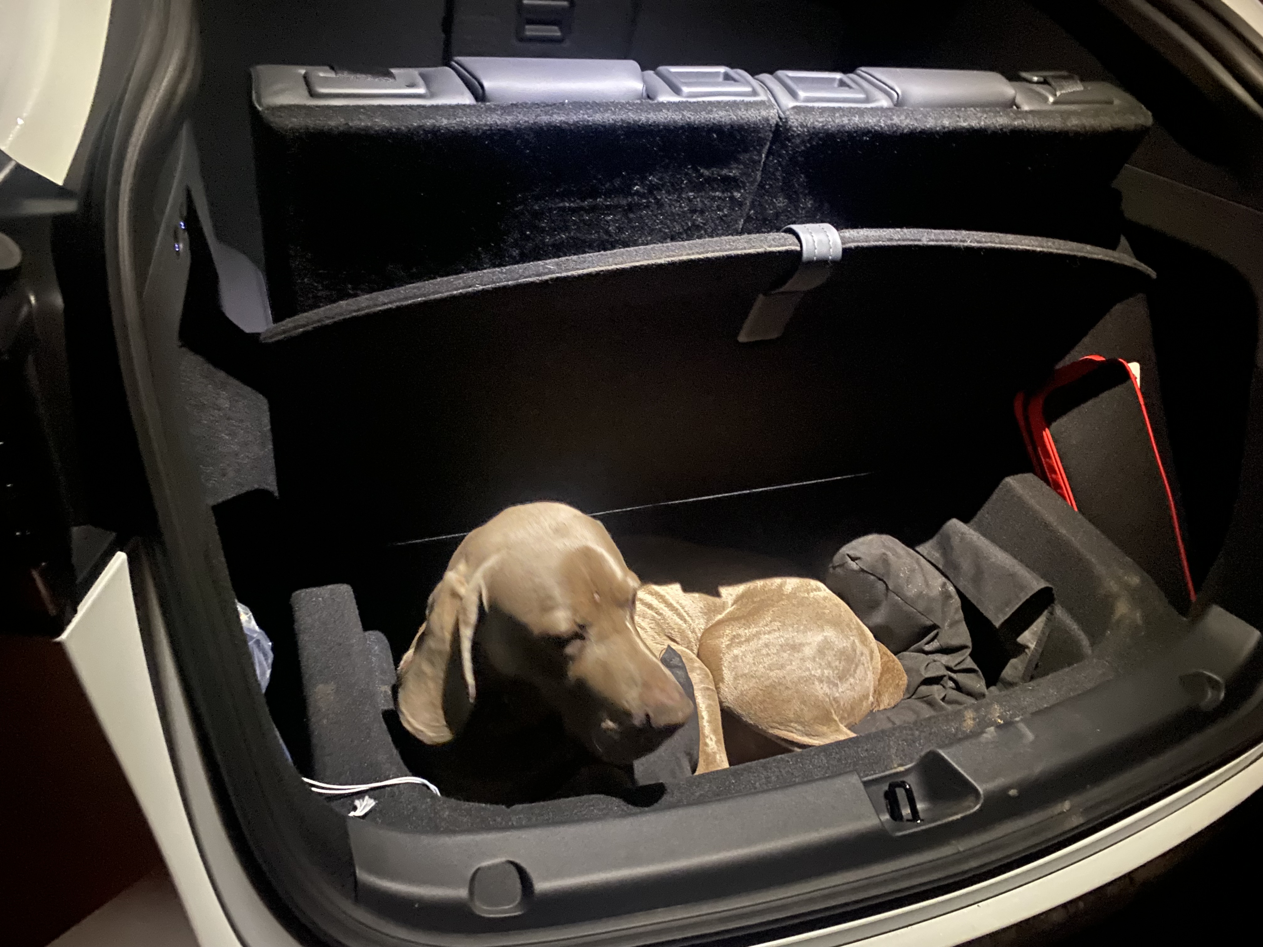 Tesla Service Center Brno foto 6