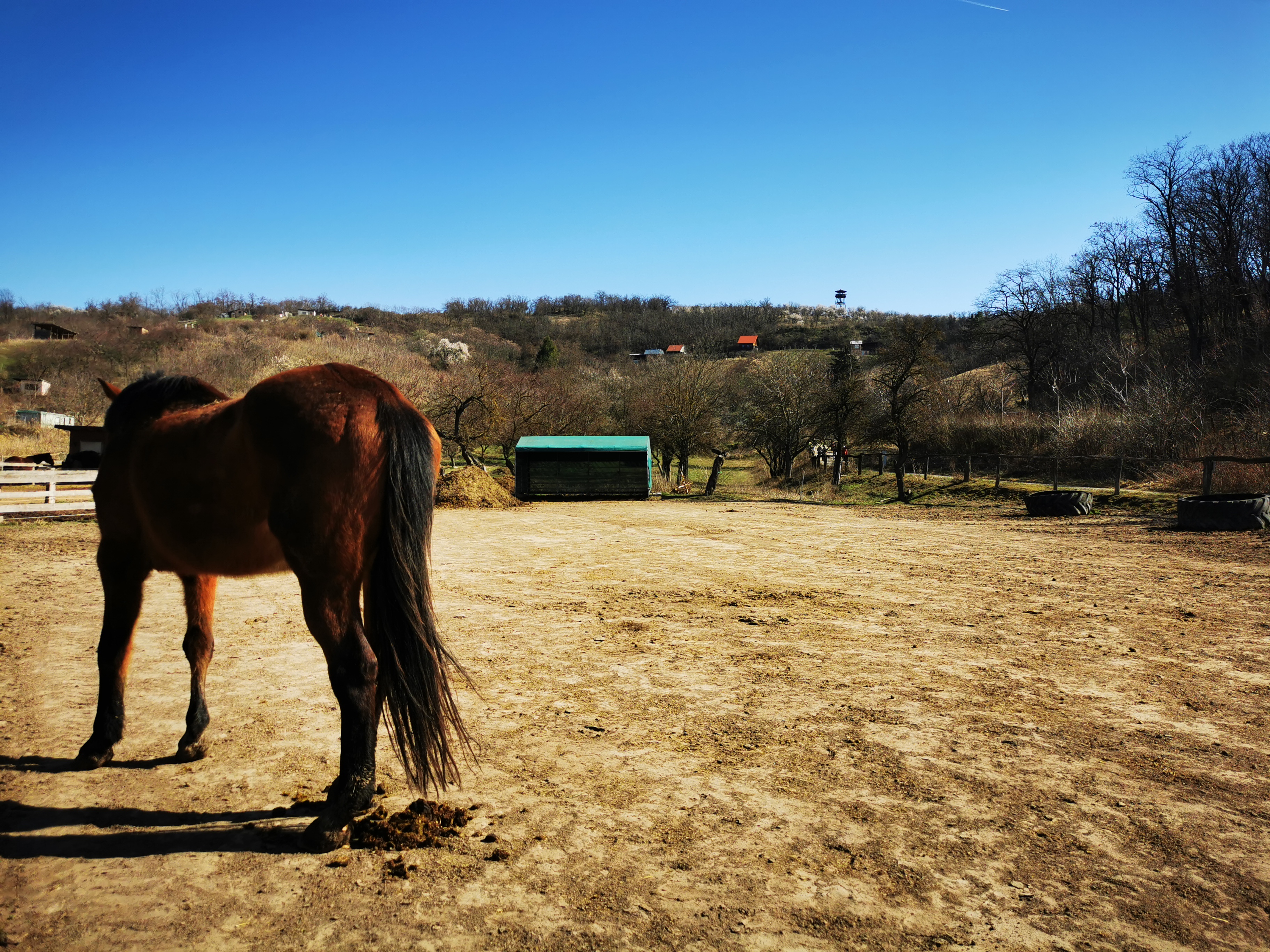 Ranč Valkýra foto 2