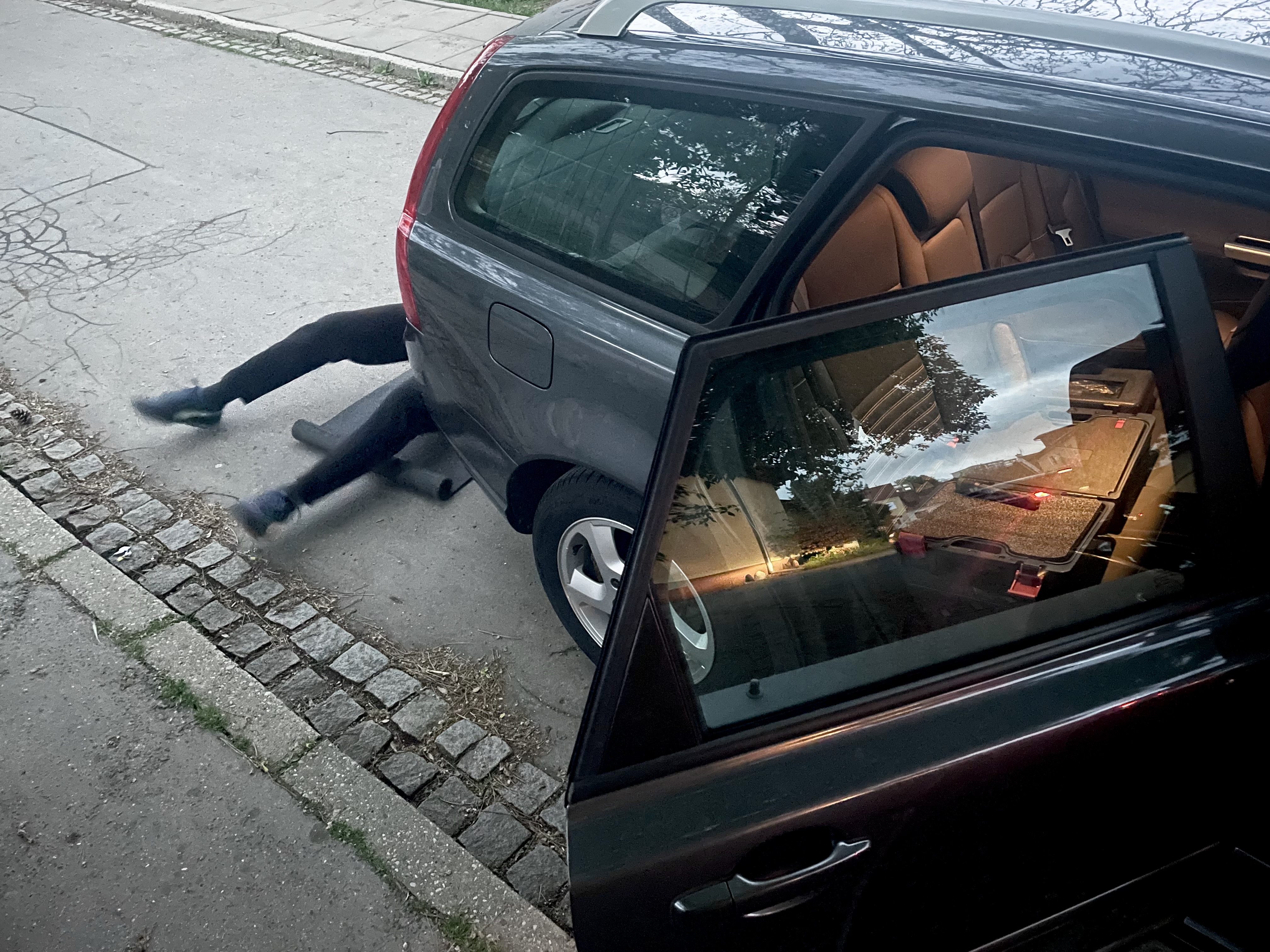 Carvici foto 1