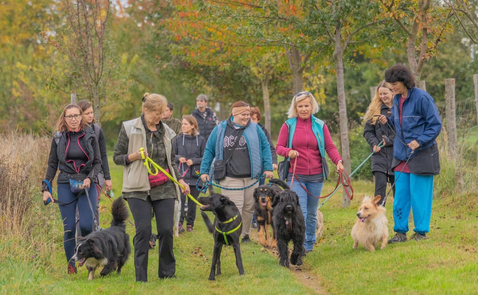 Výcvik psů Praha východ - Katka Guthová foto 5