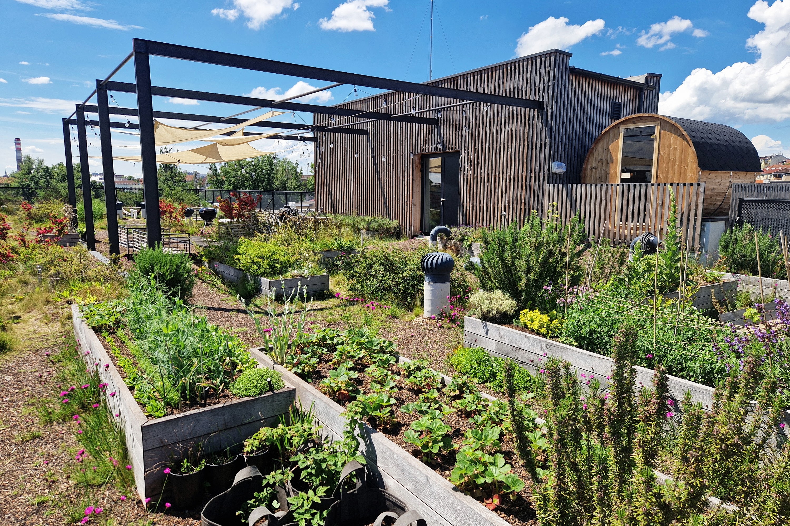 GreenVille - zelené střechy foto 5