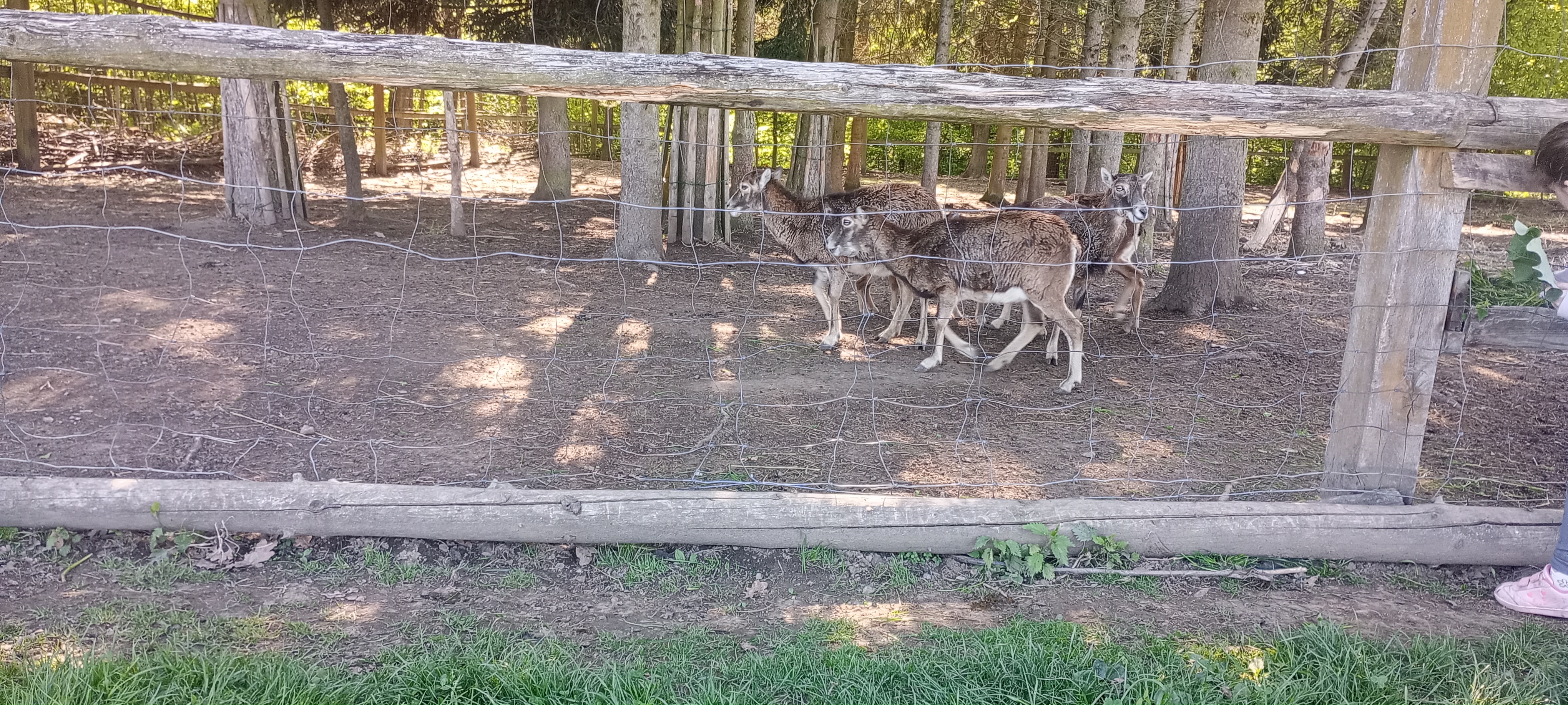 Babiččin dvoreček foto 5