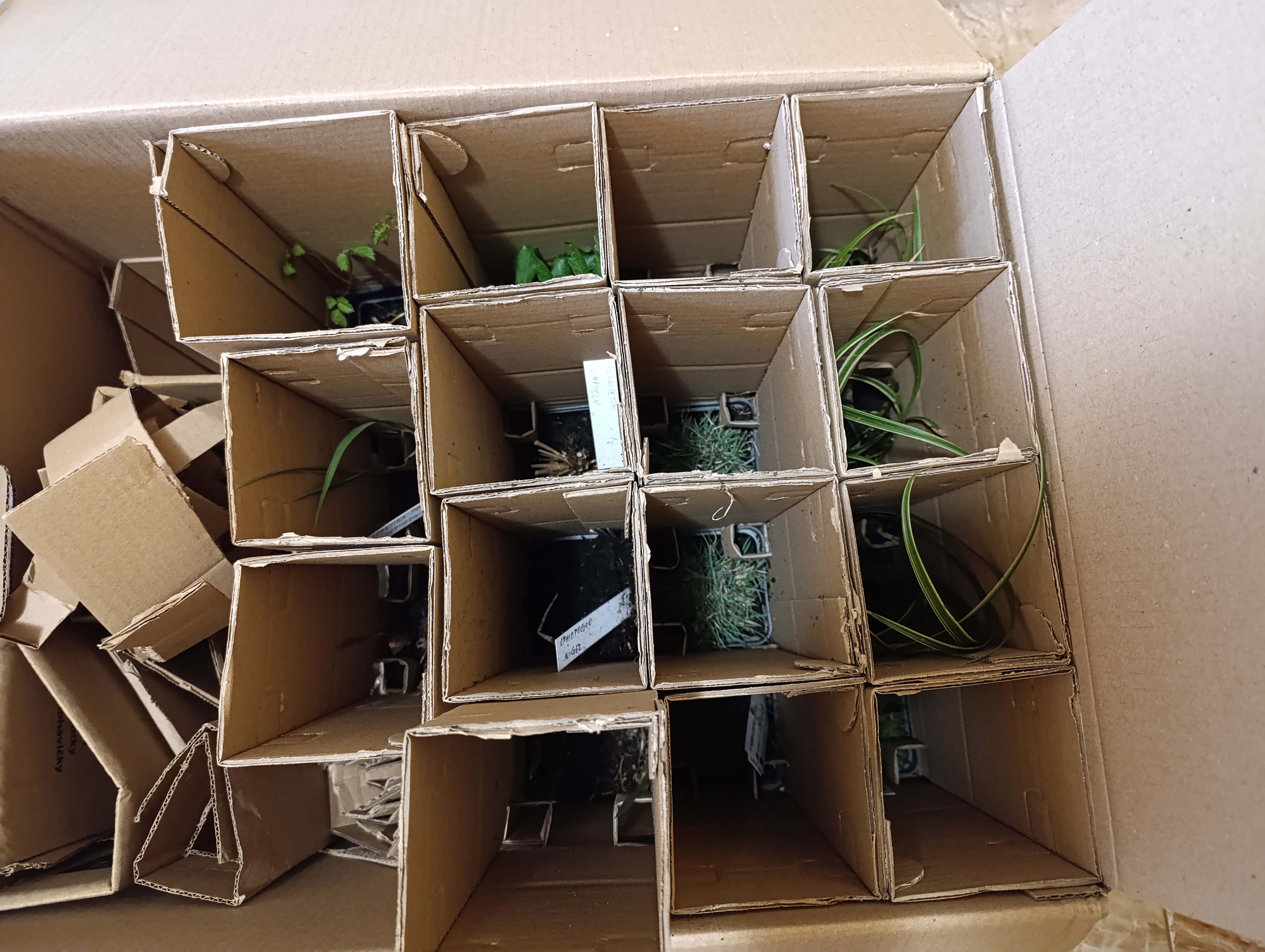 Zahrada JOHANKA foto 4