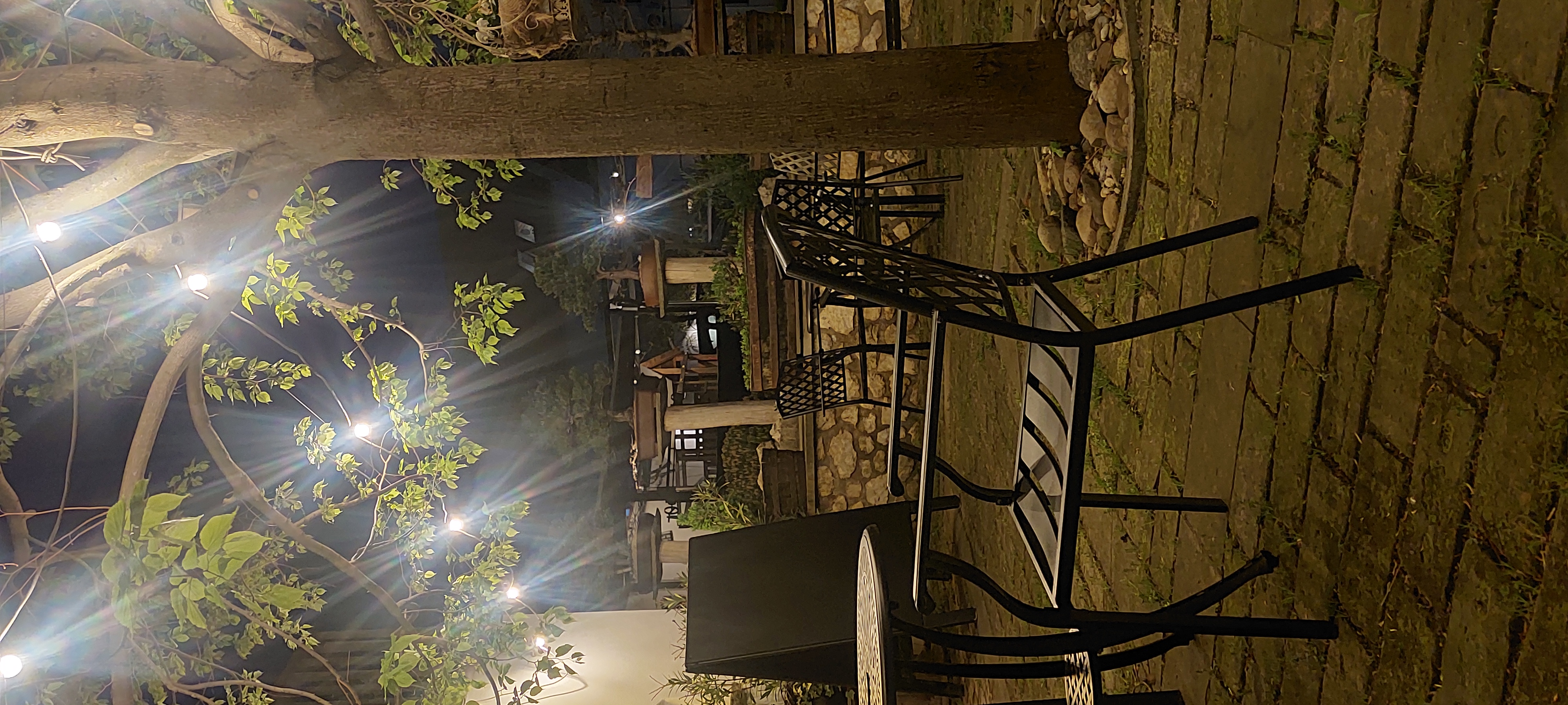 Hotel BONSAI Mikulov foto 5