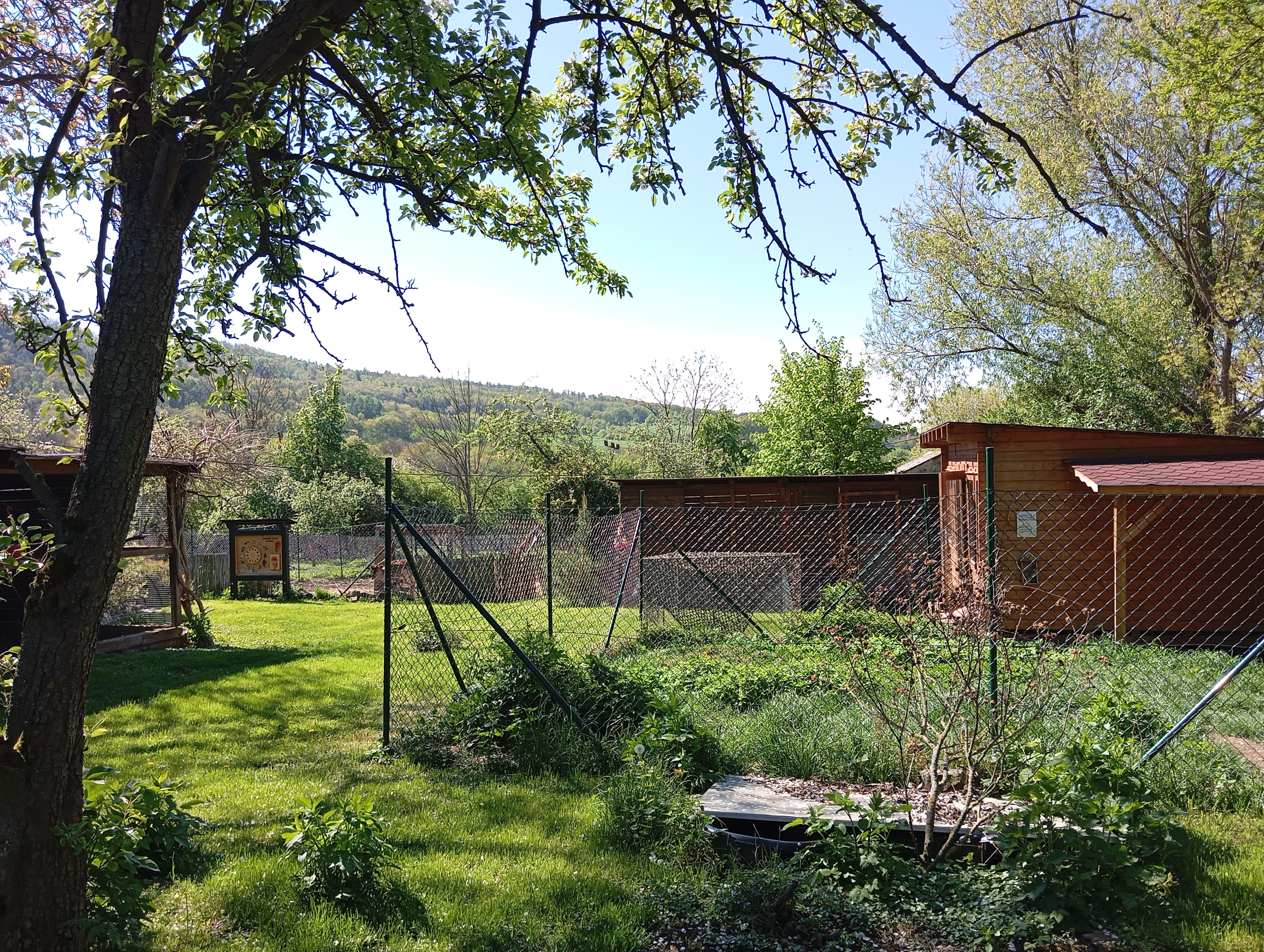 FALCO - záchranná stanice foto 3