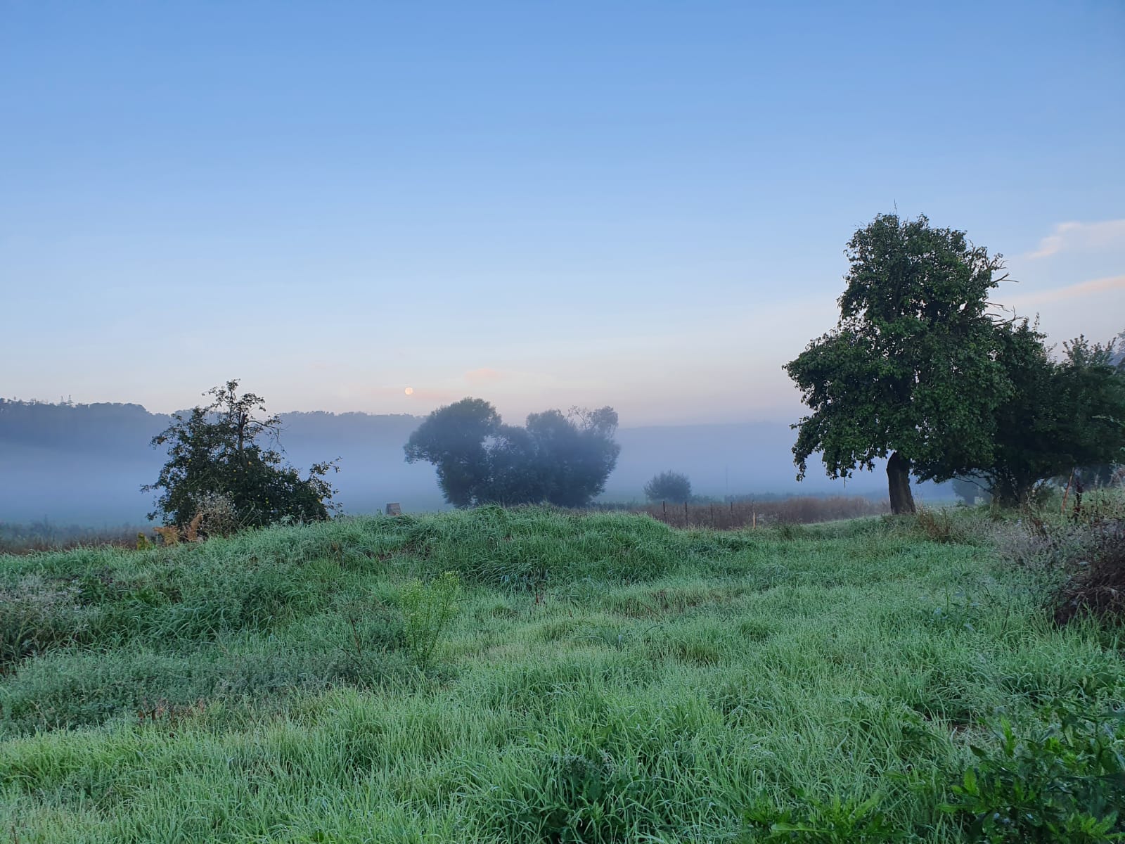 Zahradnictví La Toscana foto 3