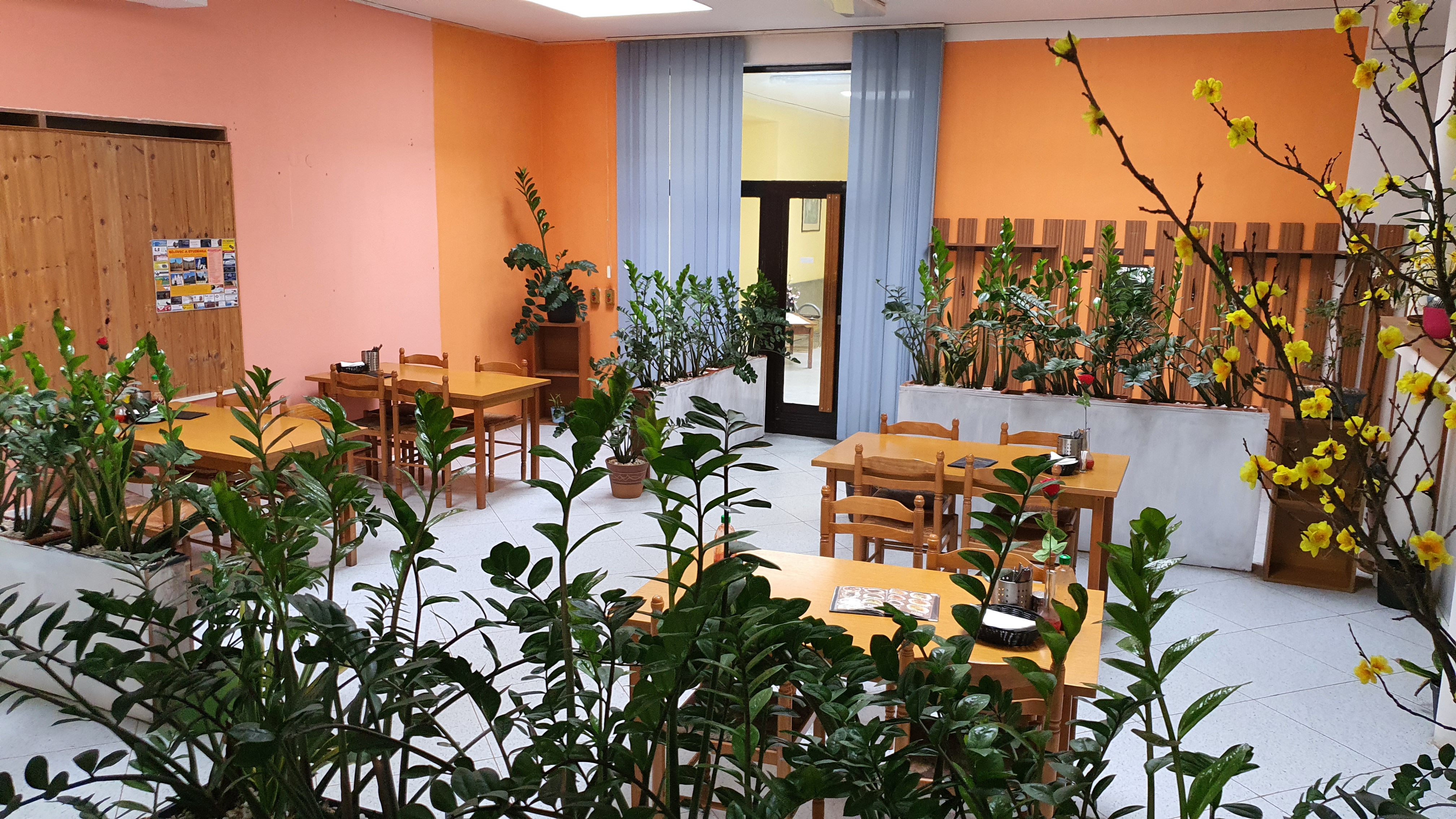 MY ASIAN RESTAURANT foto 4