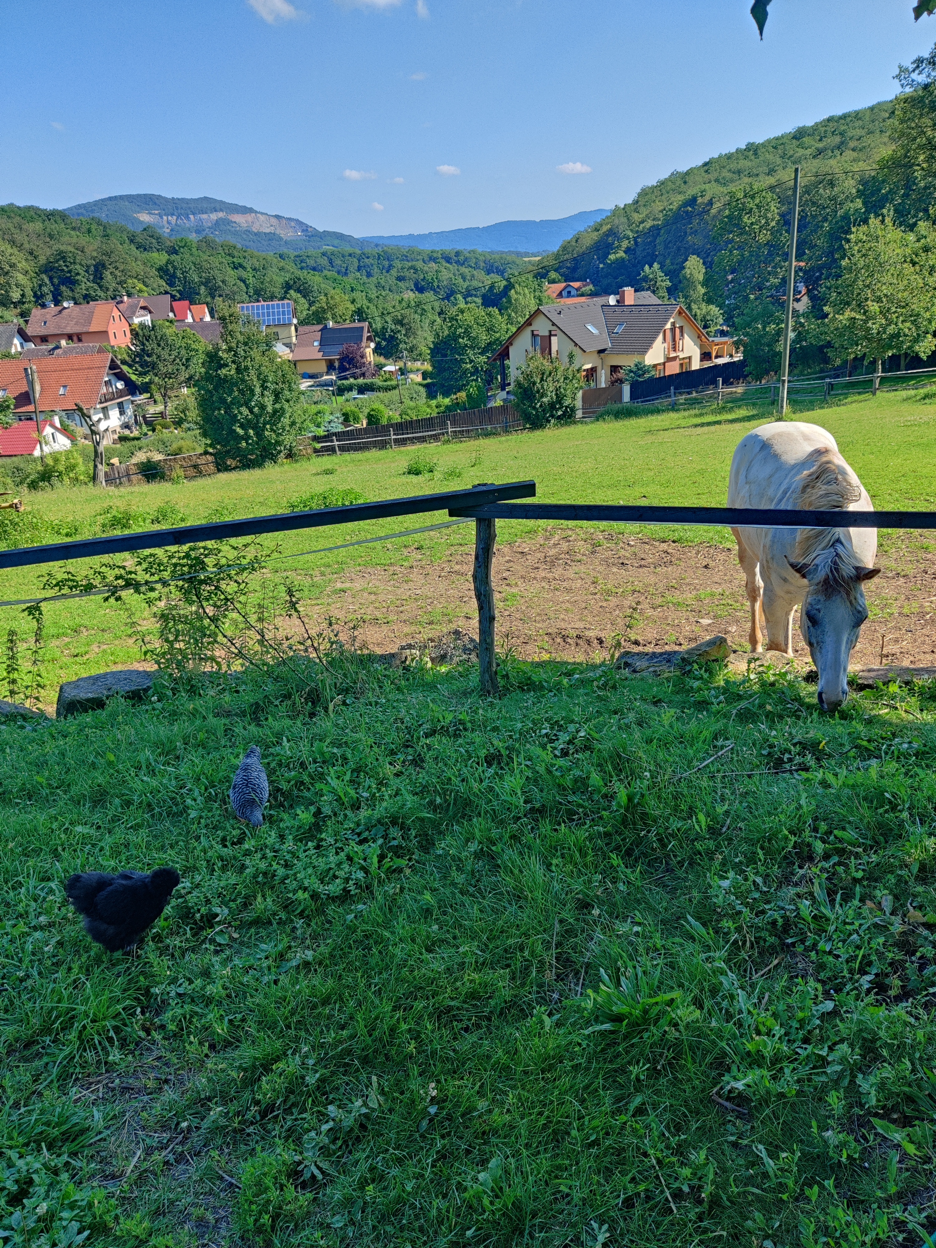 Ubytování na Ranči pod Lovošem foto 3
