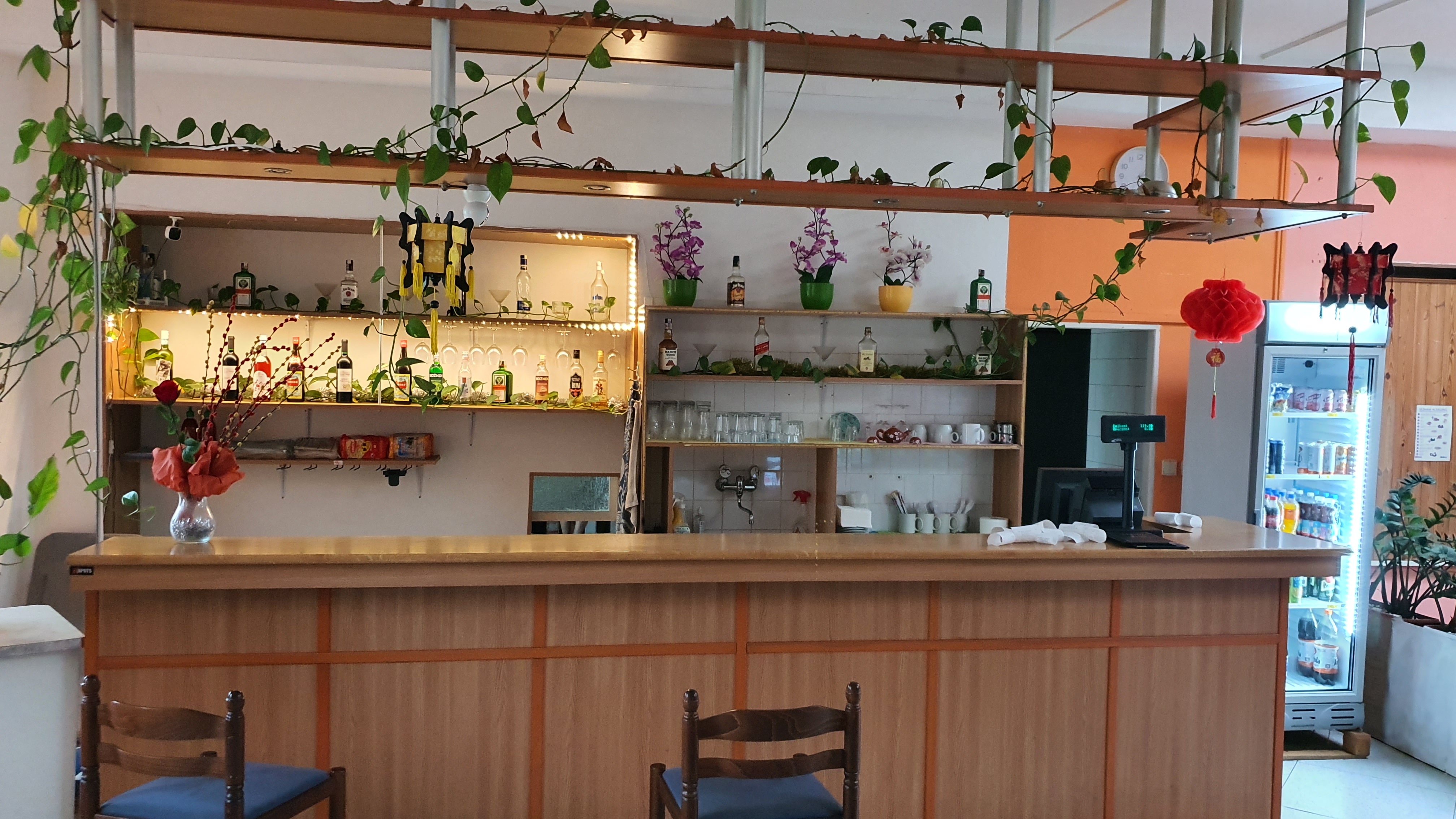 MY ASIAN RESTAURANT foto 3