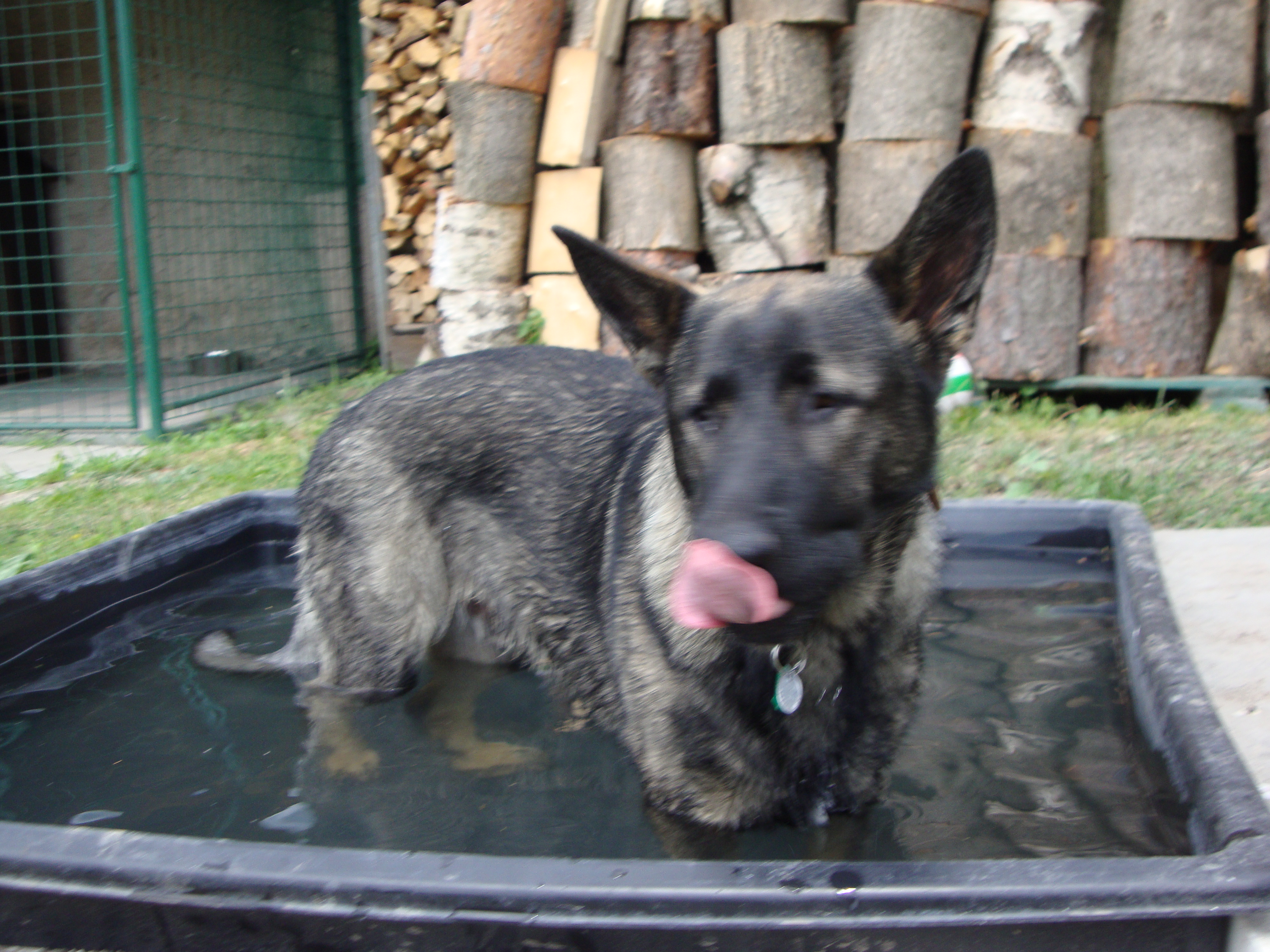 UROLOGIE - MUDr. Wagenknecht, MBA, s.r.o. foto 2