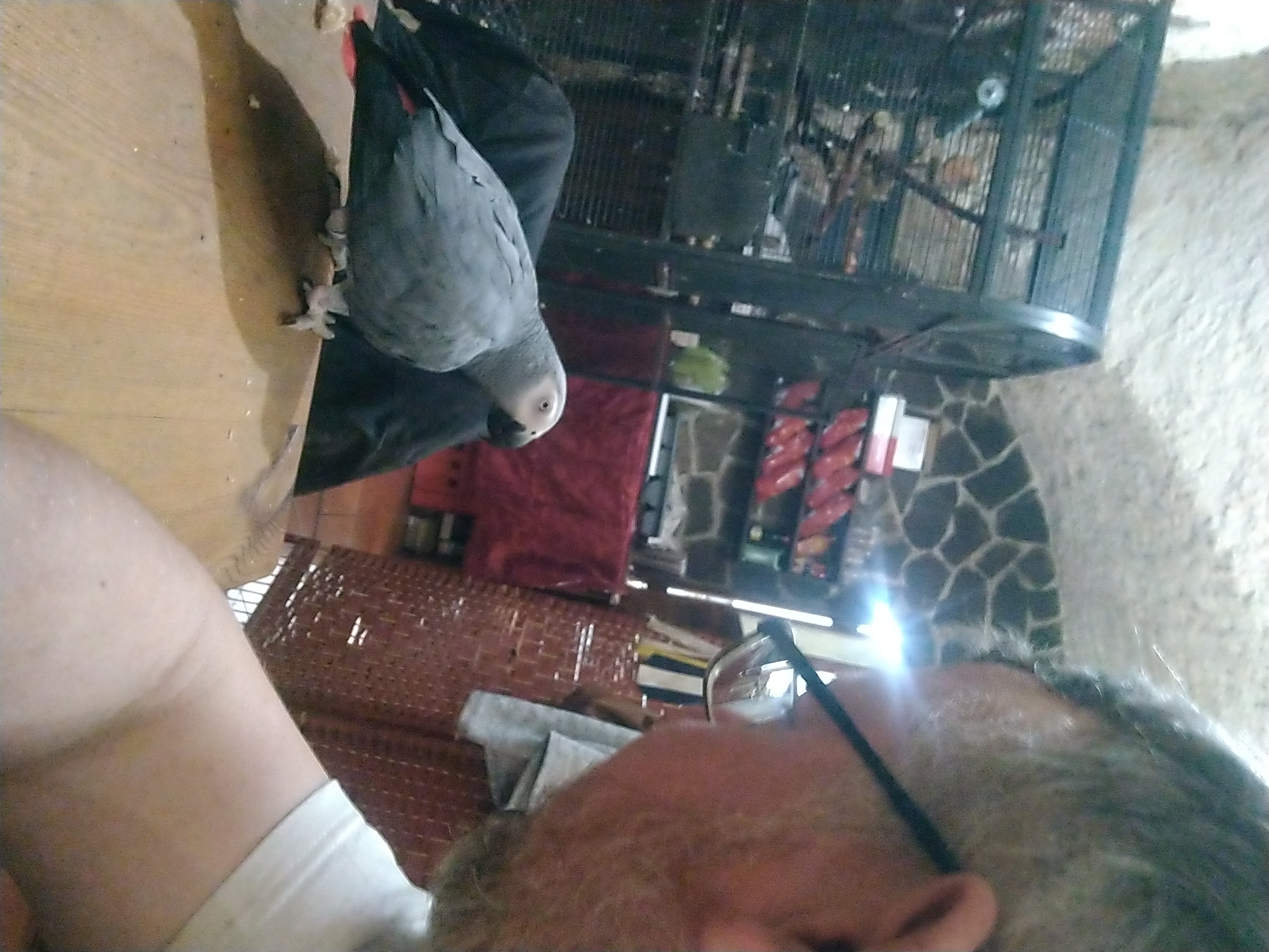 Zámecký penzion Pegas foto 2