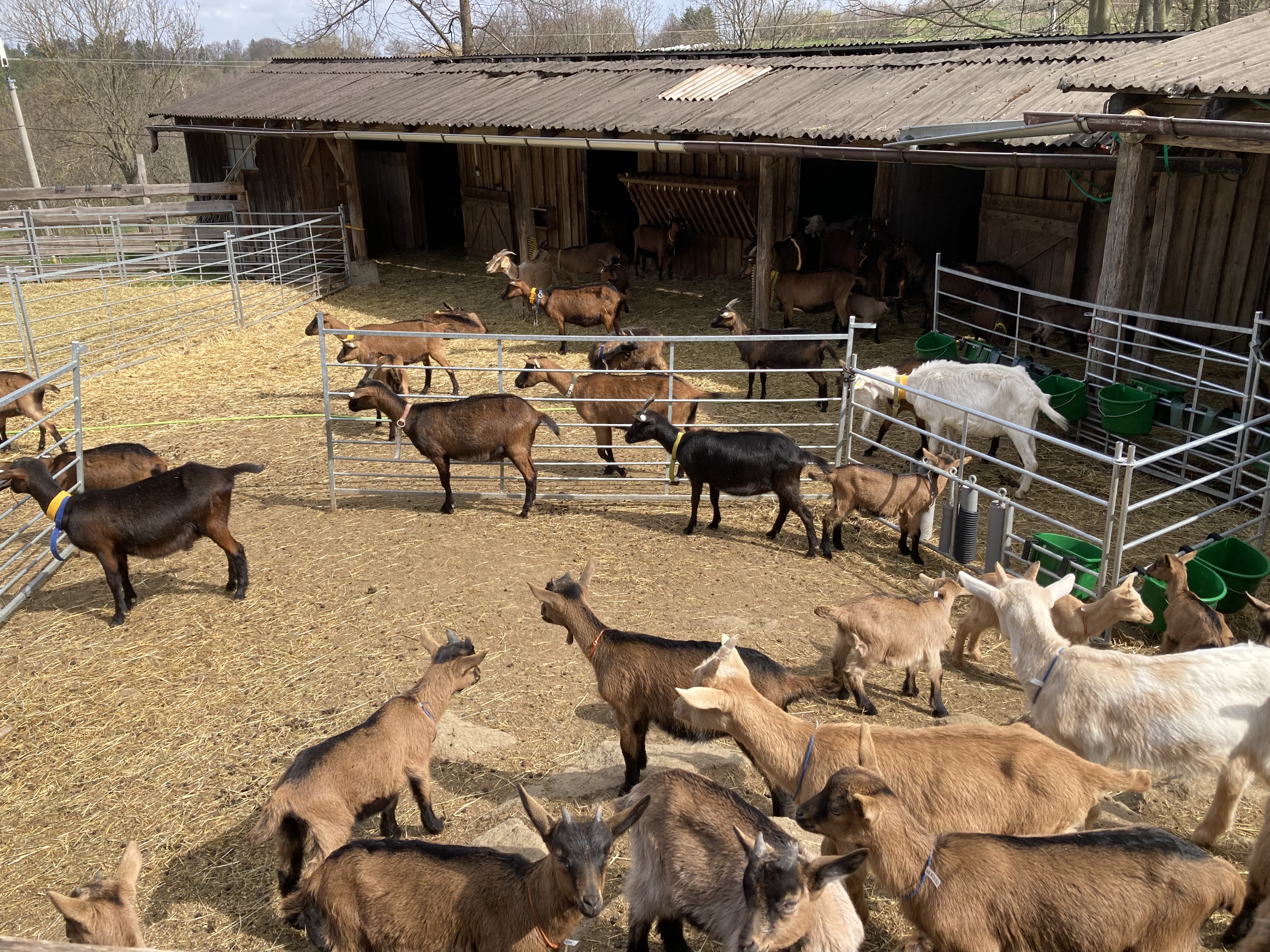 Ubytování Na Hrbech foto 3