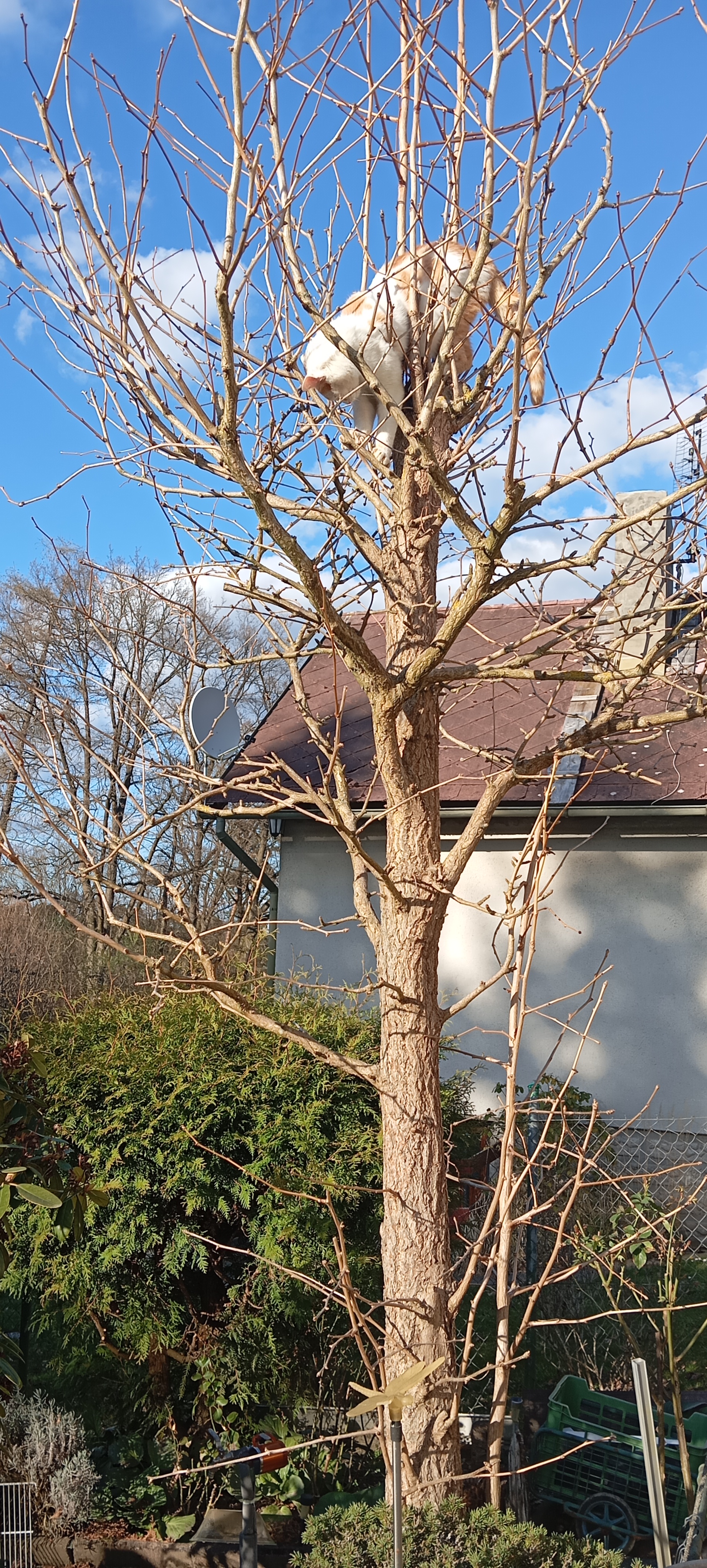 Veterinární klinika MVDr. Michal Šindelář foto 2