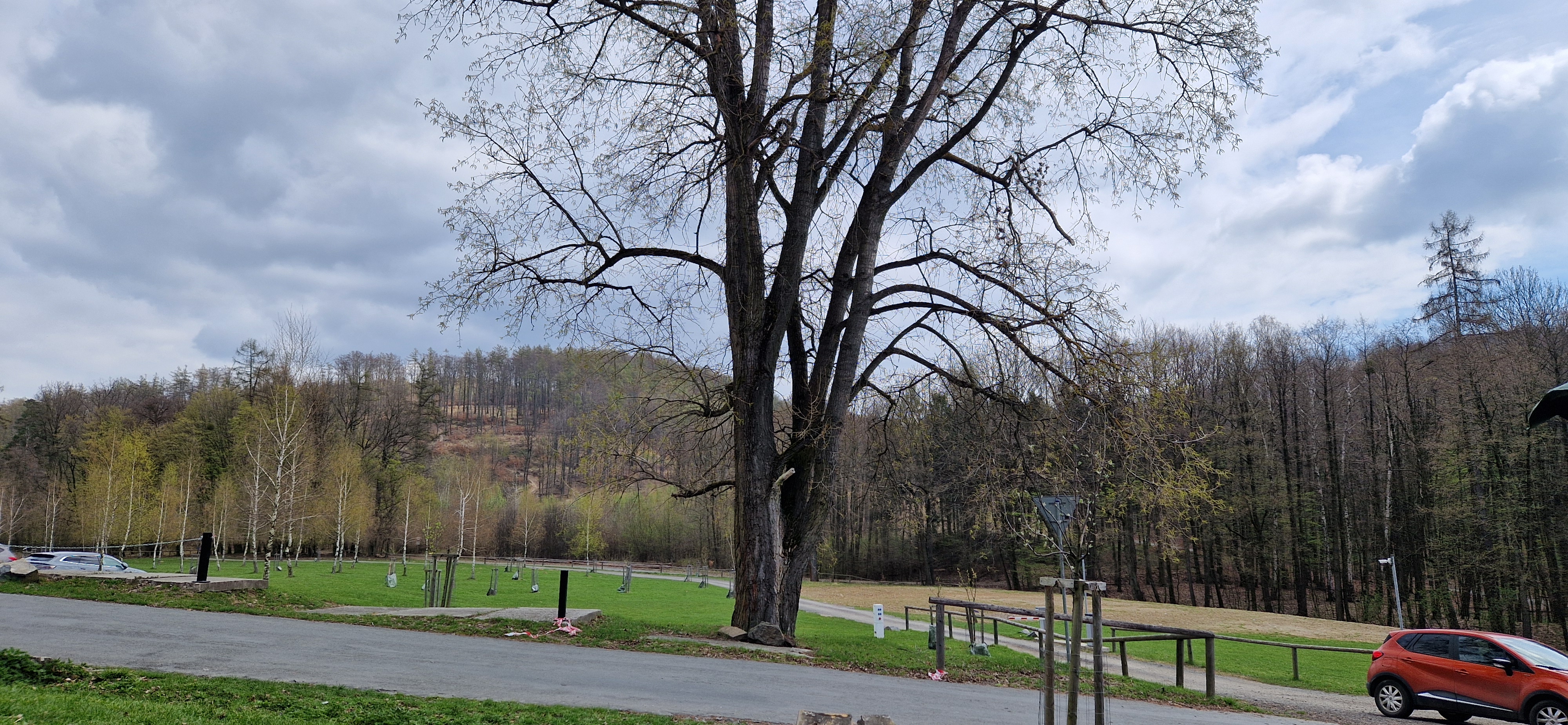 Kvásek Šenk foto 3