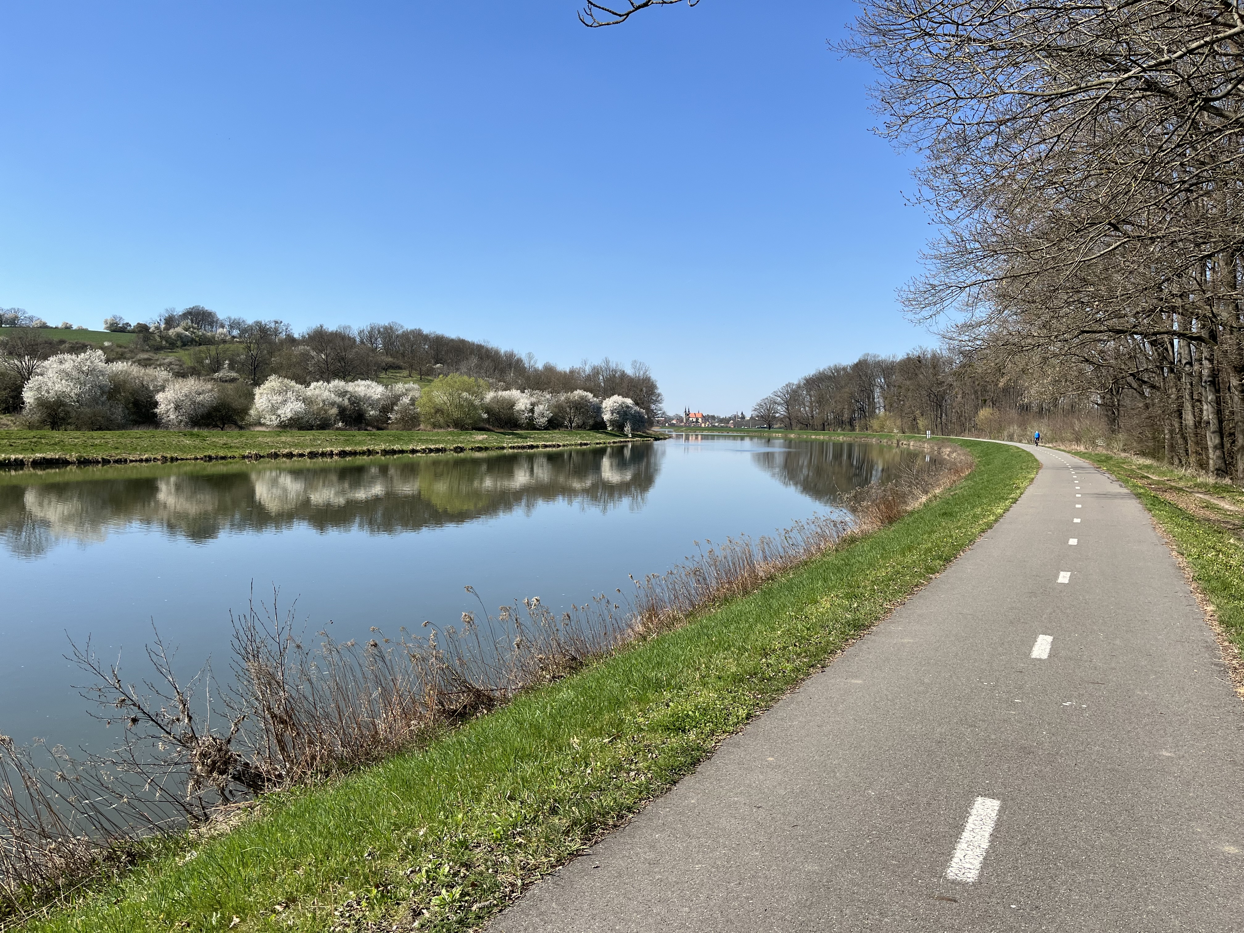 BIKEMAX foto 6