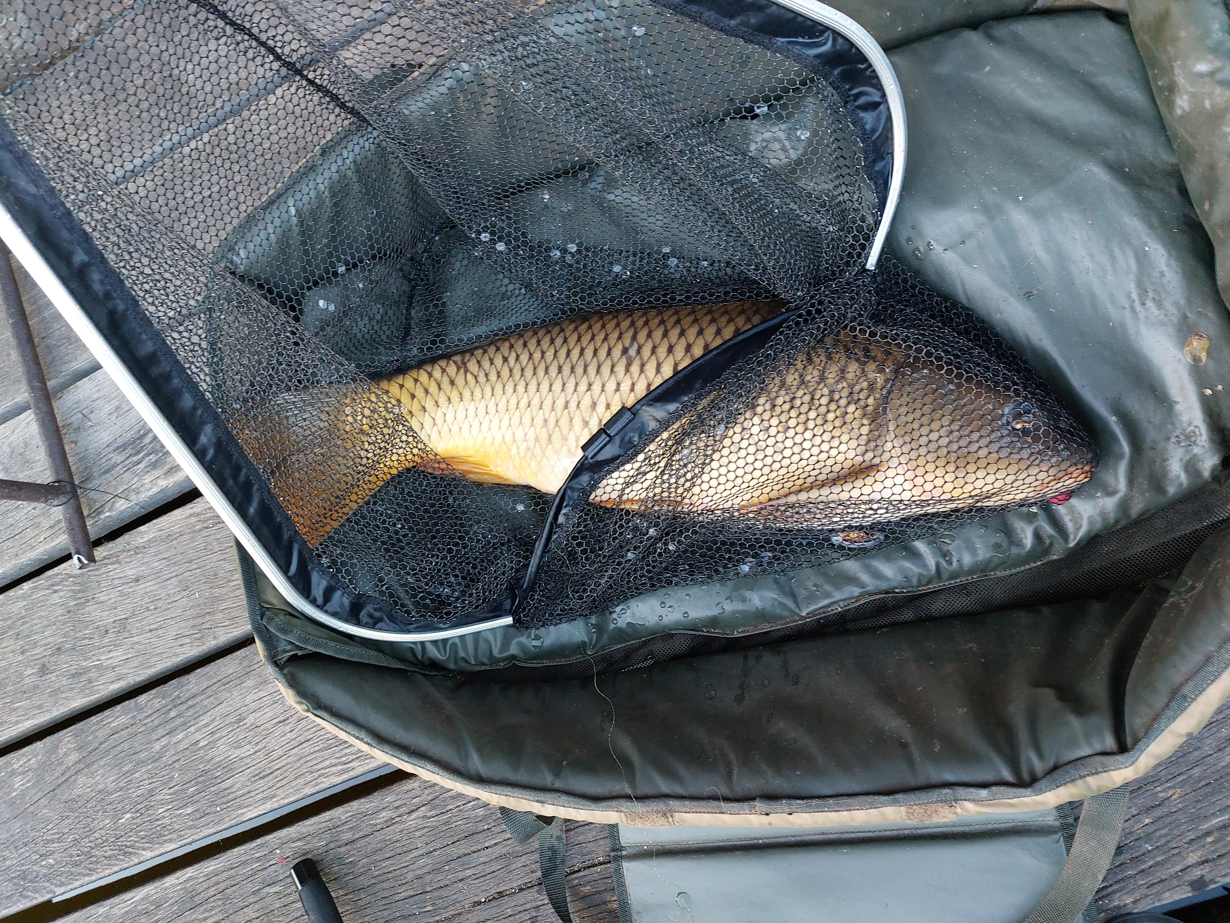 Wellness Fishig foto 4
