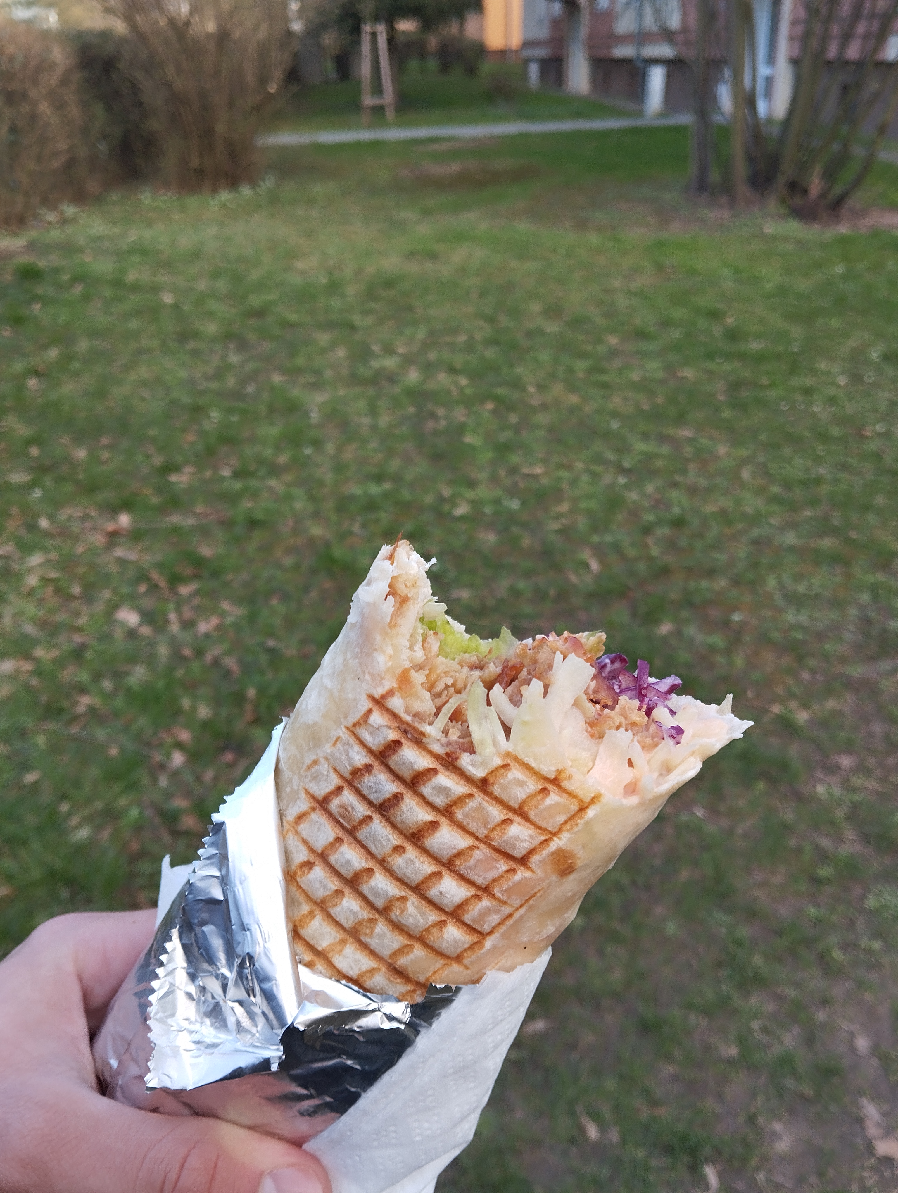 Lion kebab foto 4