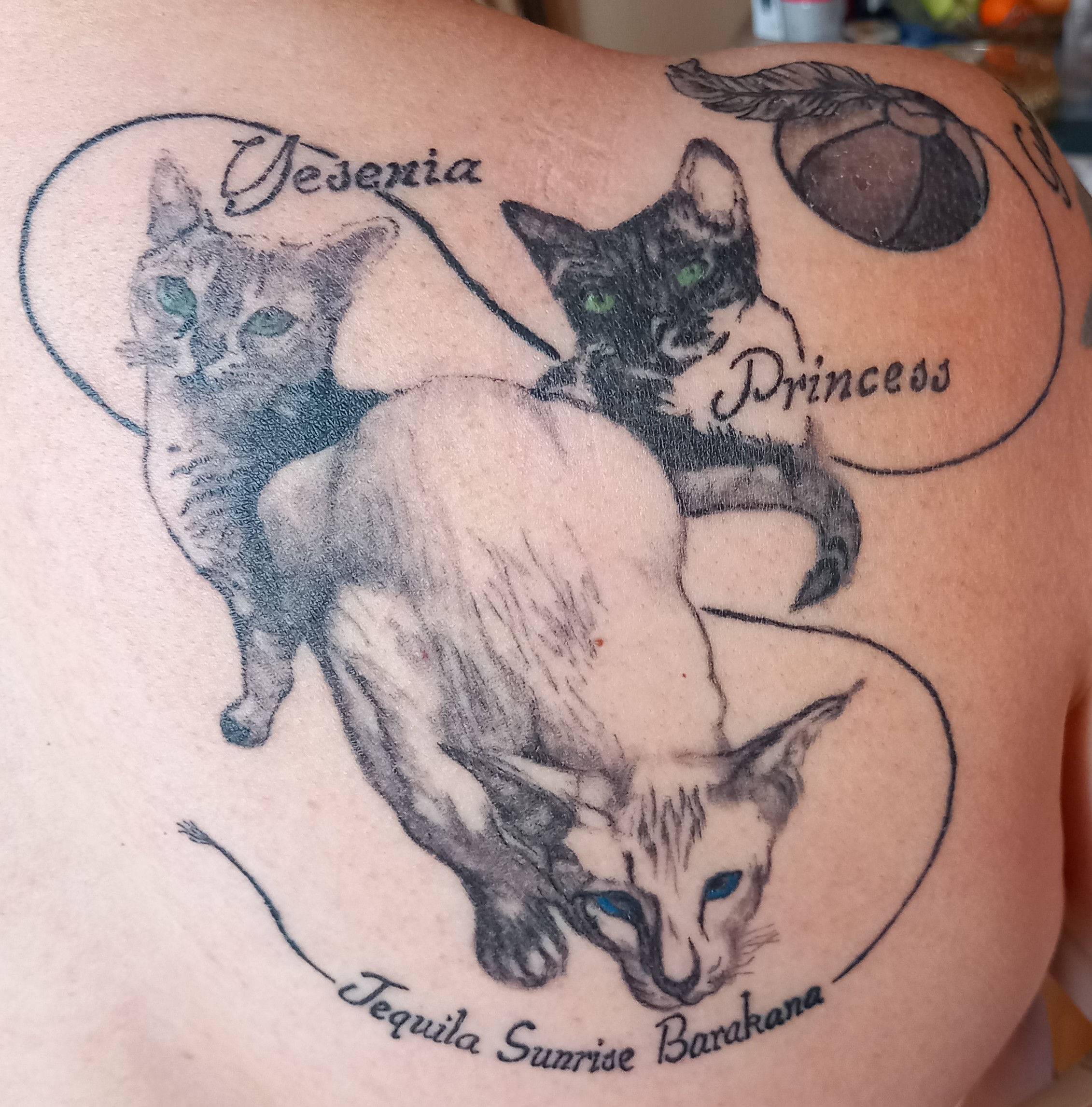 Tattoo Dílna Vosí Hnízdo foto 4