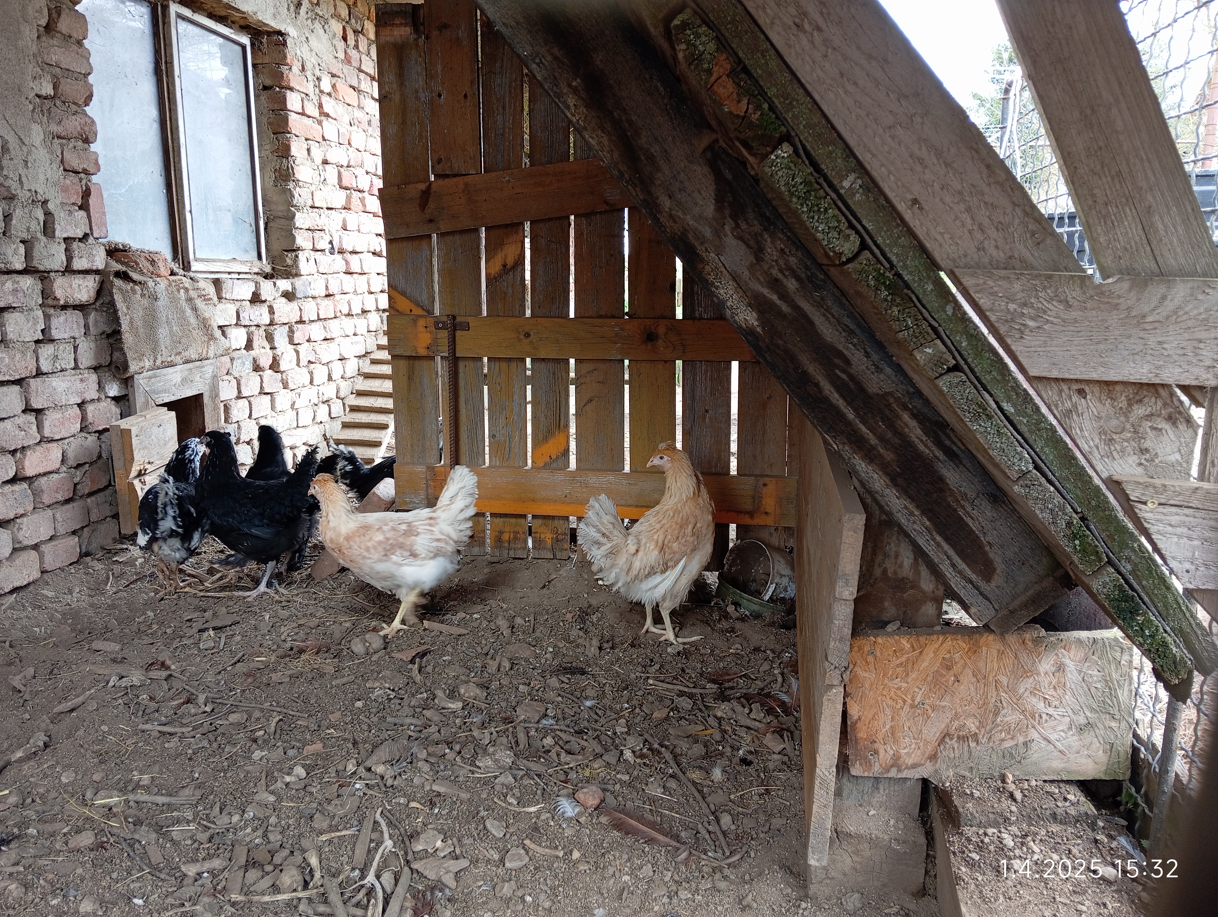 LÍHEŇ STUDENEC, s.r.o. foto 3