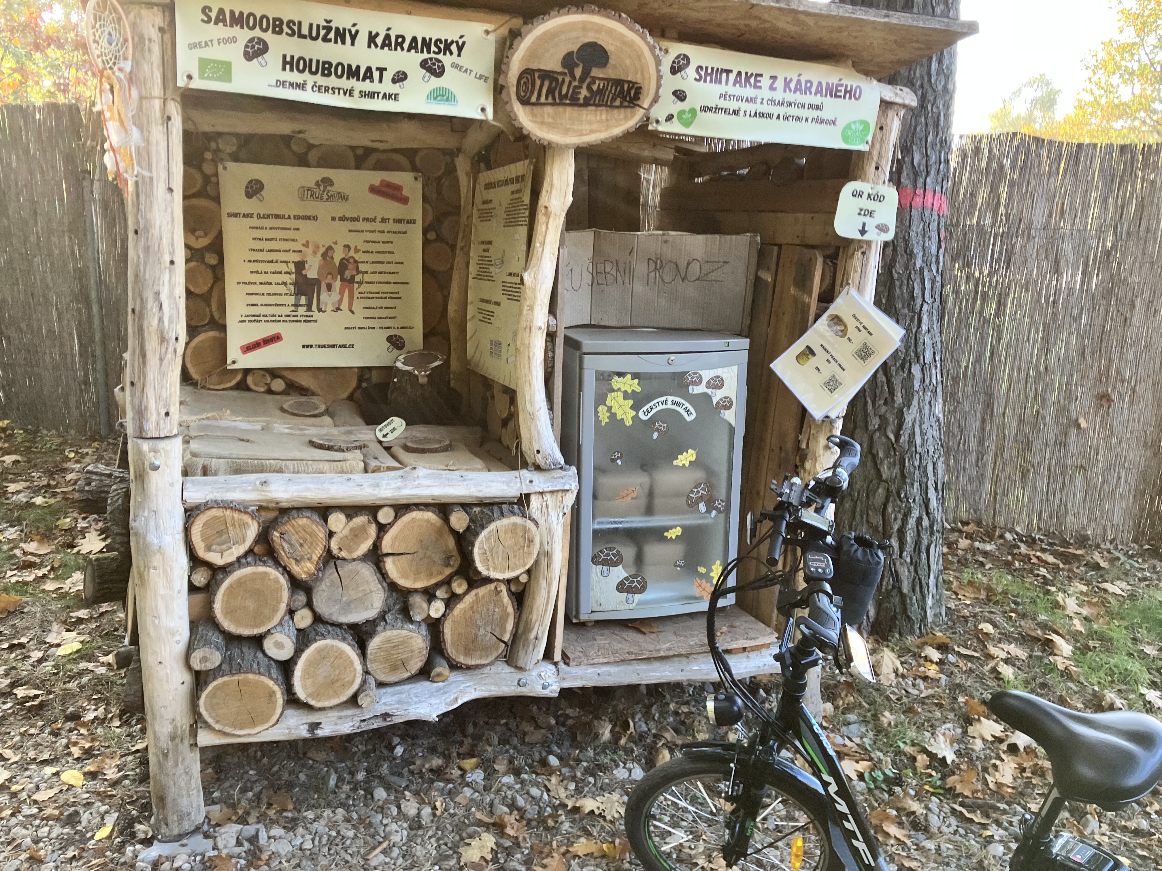 True Shiitake - Houbomat foto 3